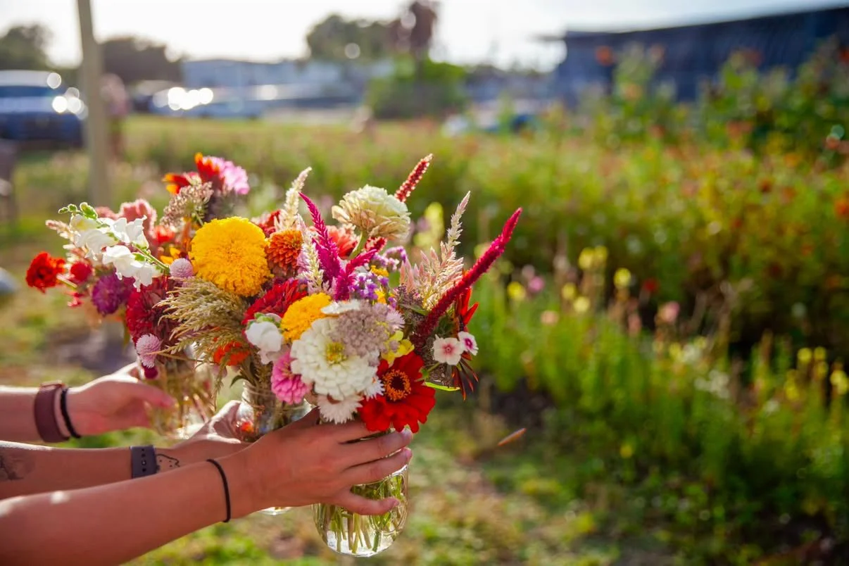 00001 Padme Flower Farm.JPG