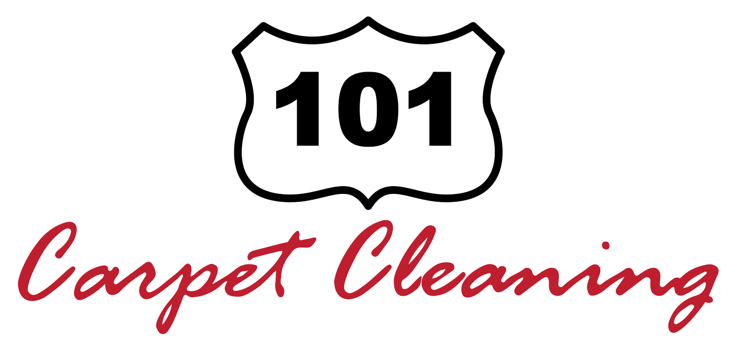 101 Carpet Cleaning