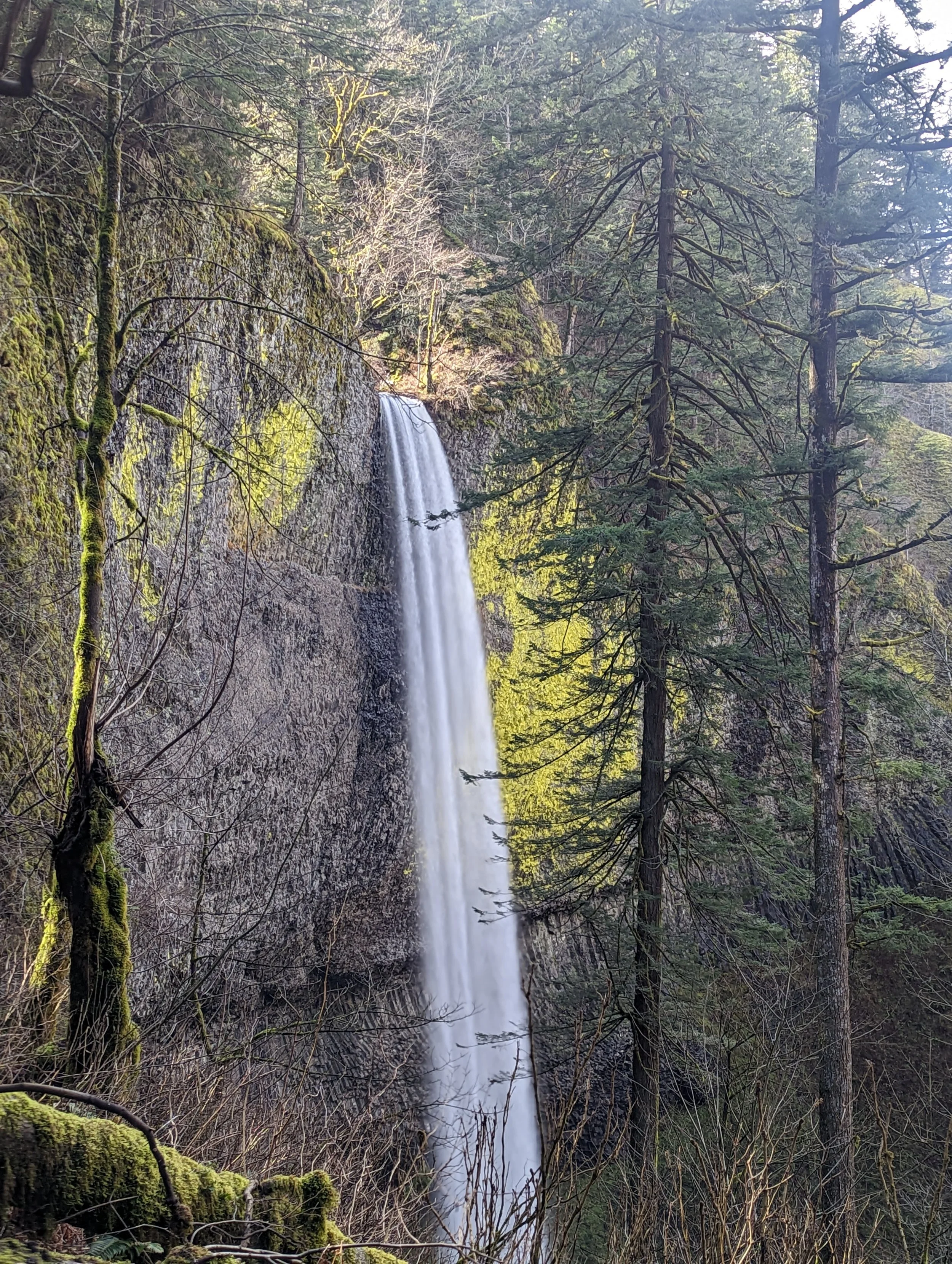 BIPOC Hike @ Latourell Falls Trailhead