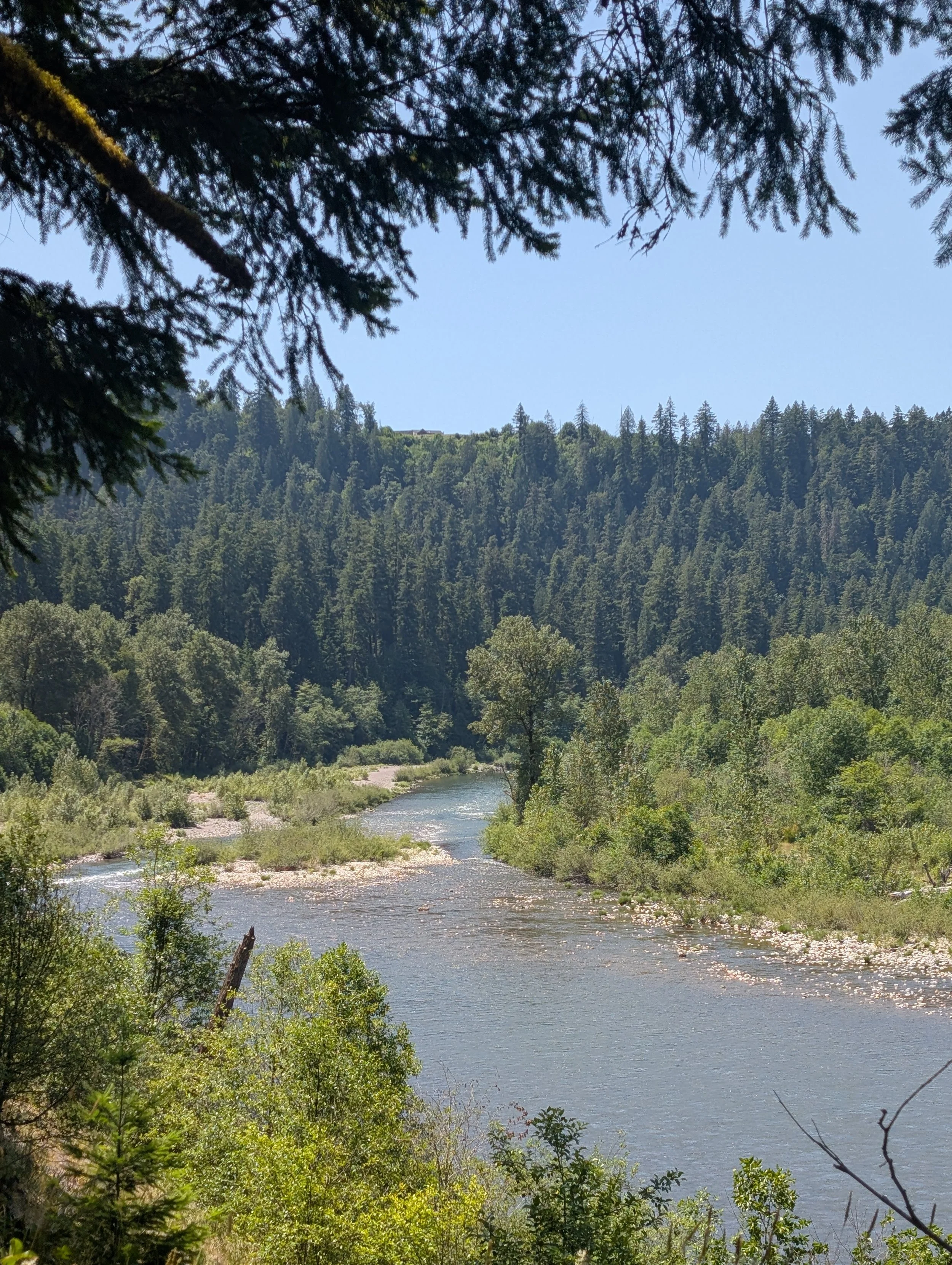 PXL_20250612_193032273 (1).jpg