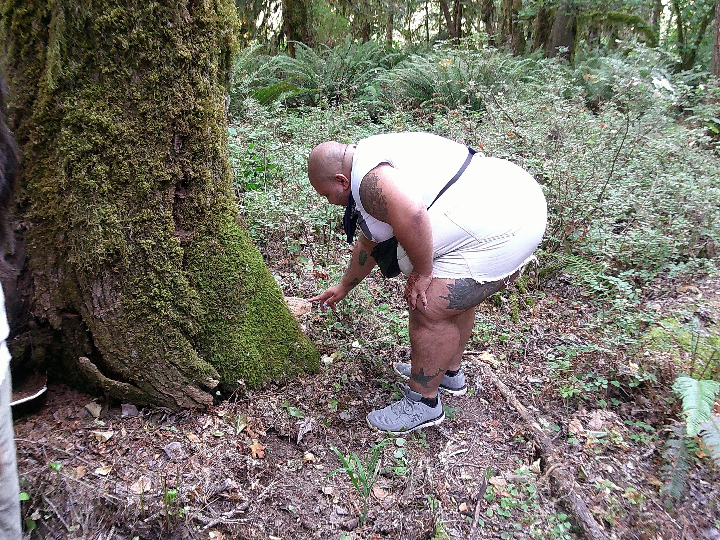 forest bathing
