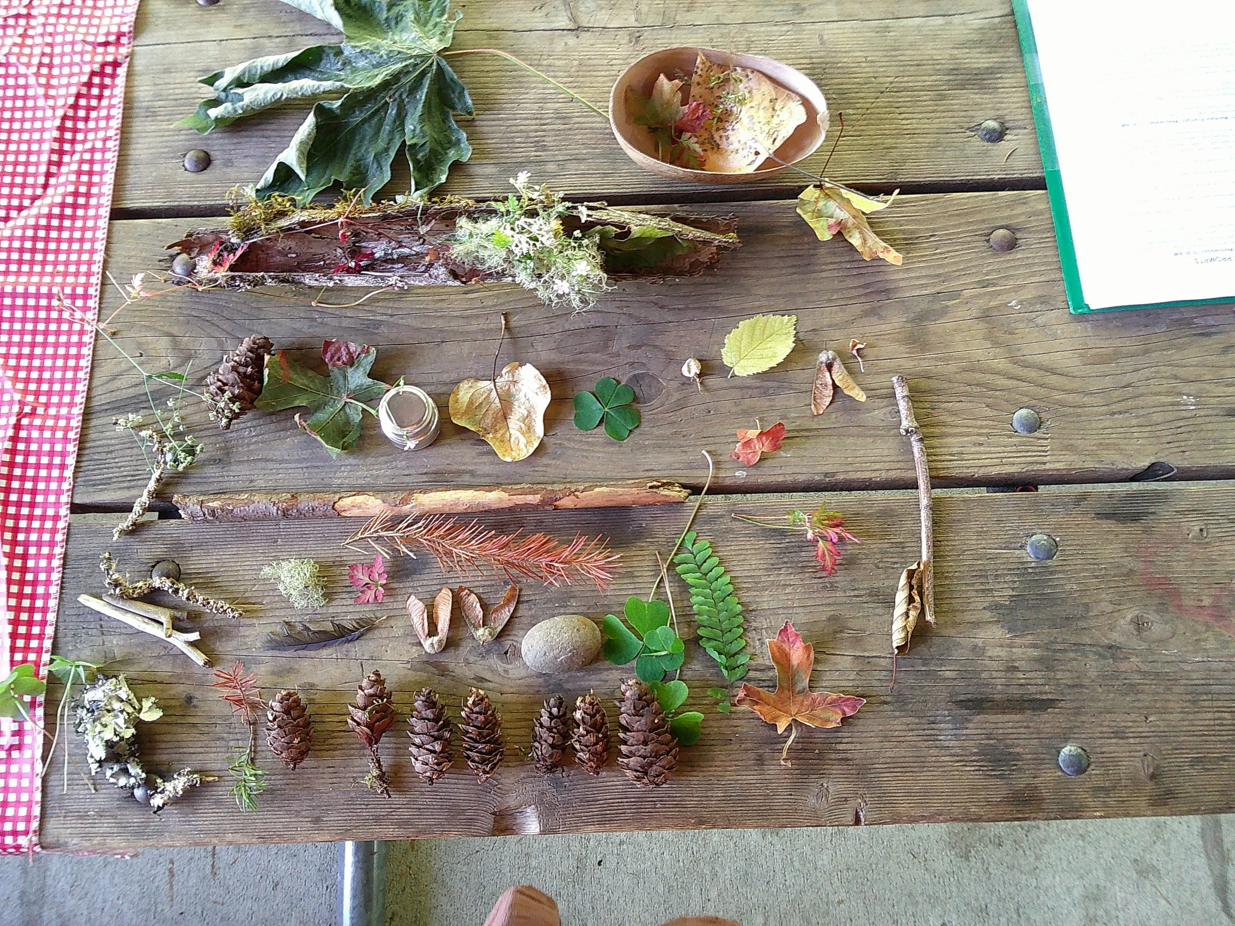 foraged items for communal altar