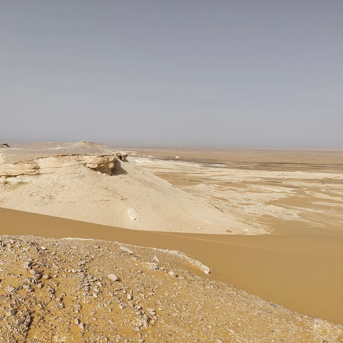 Clarity, openness, freedom