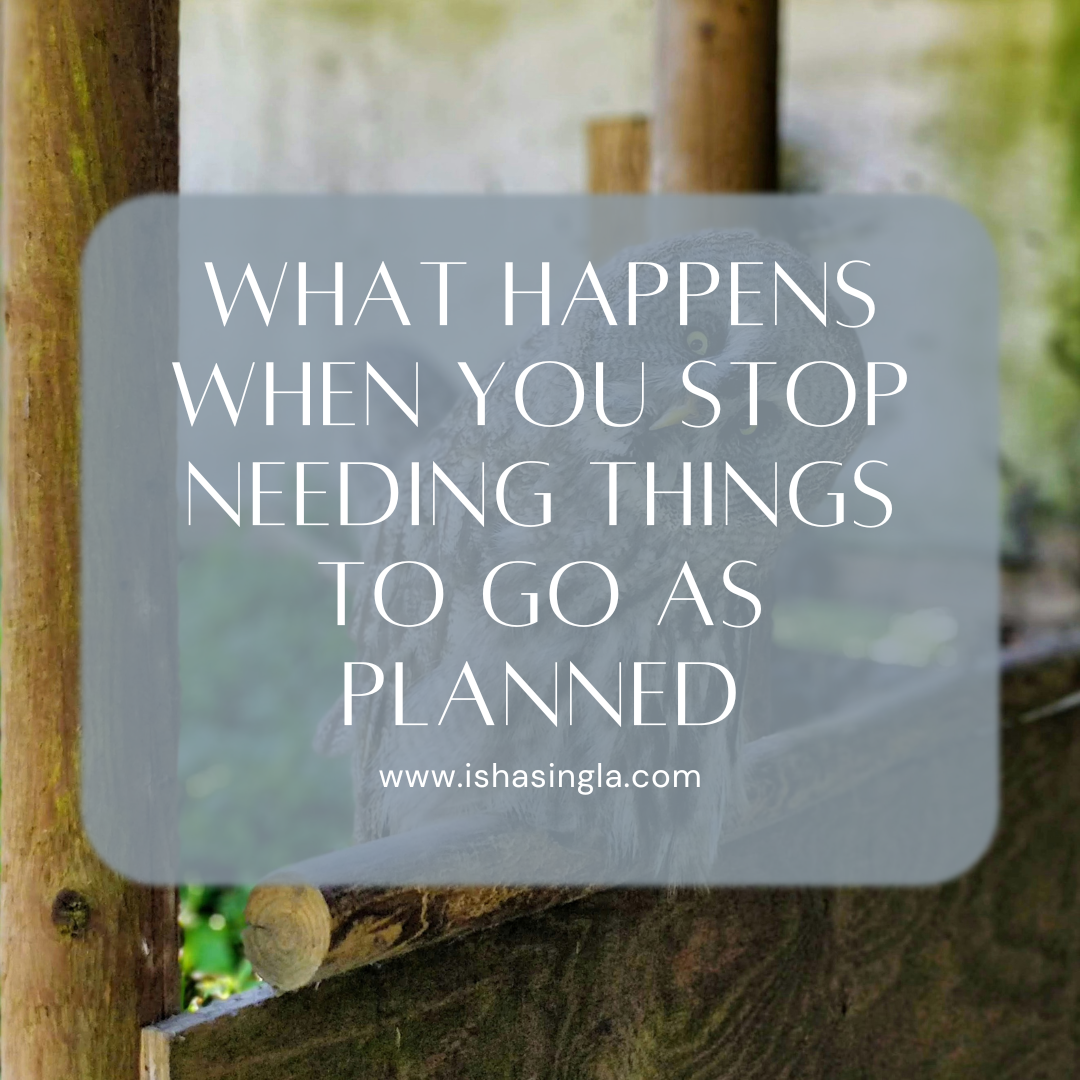 What Happens When You Stop Needing Everything to Go According to Plan