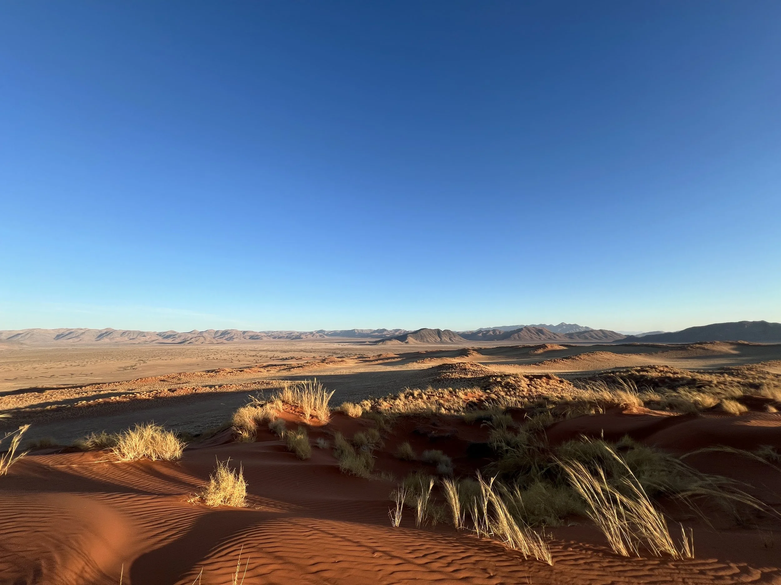 Leica SL3 - Making Of - Namib Desert