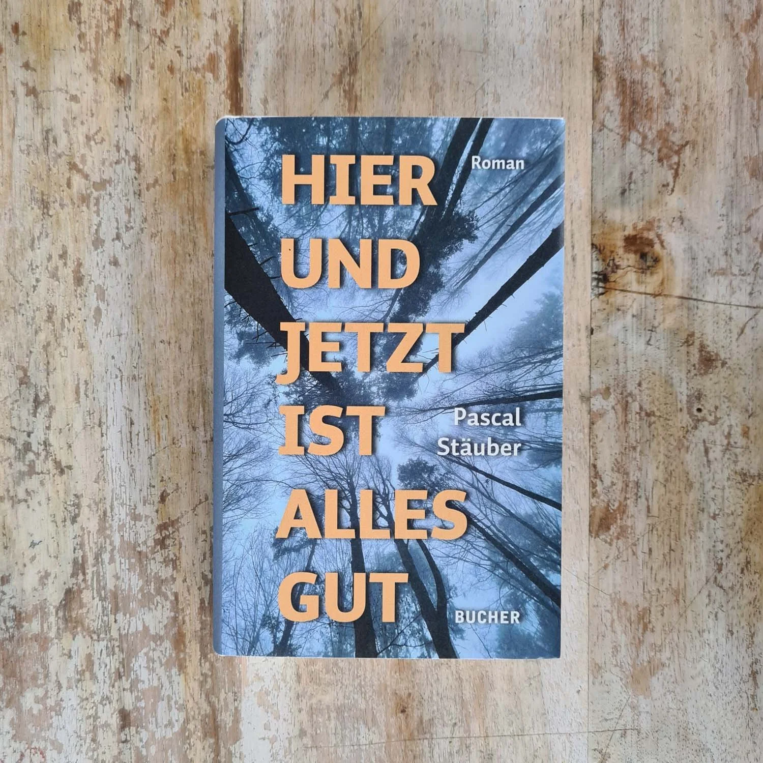 Stäuber-Hier-und-jetzt-ist-alles-gut-1.jpg