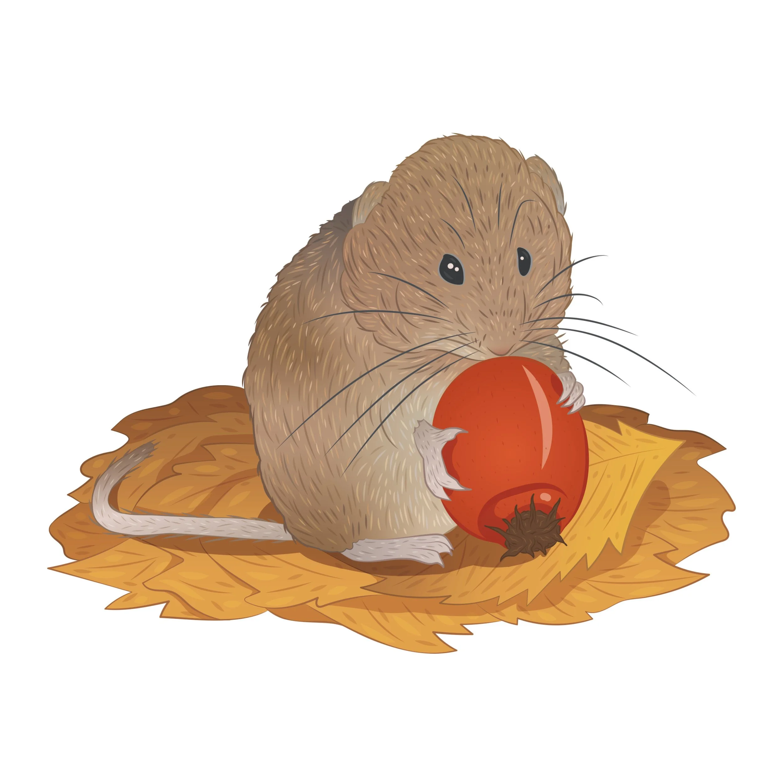 ESB_Biodiversity Interpretive Boards Illustrations_Emily Kouri_Illustration7.jpg