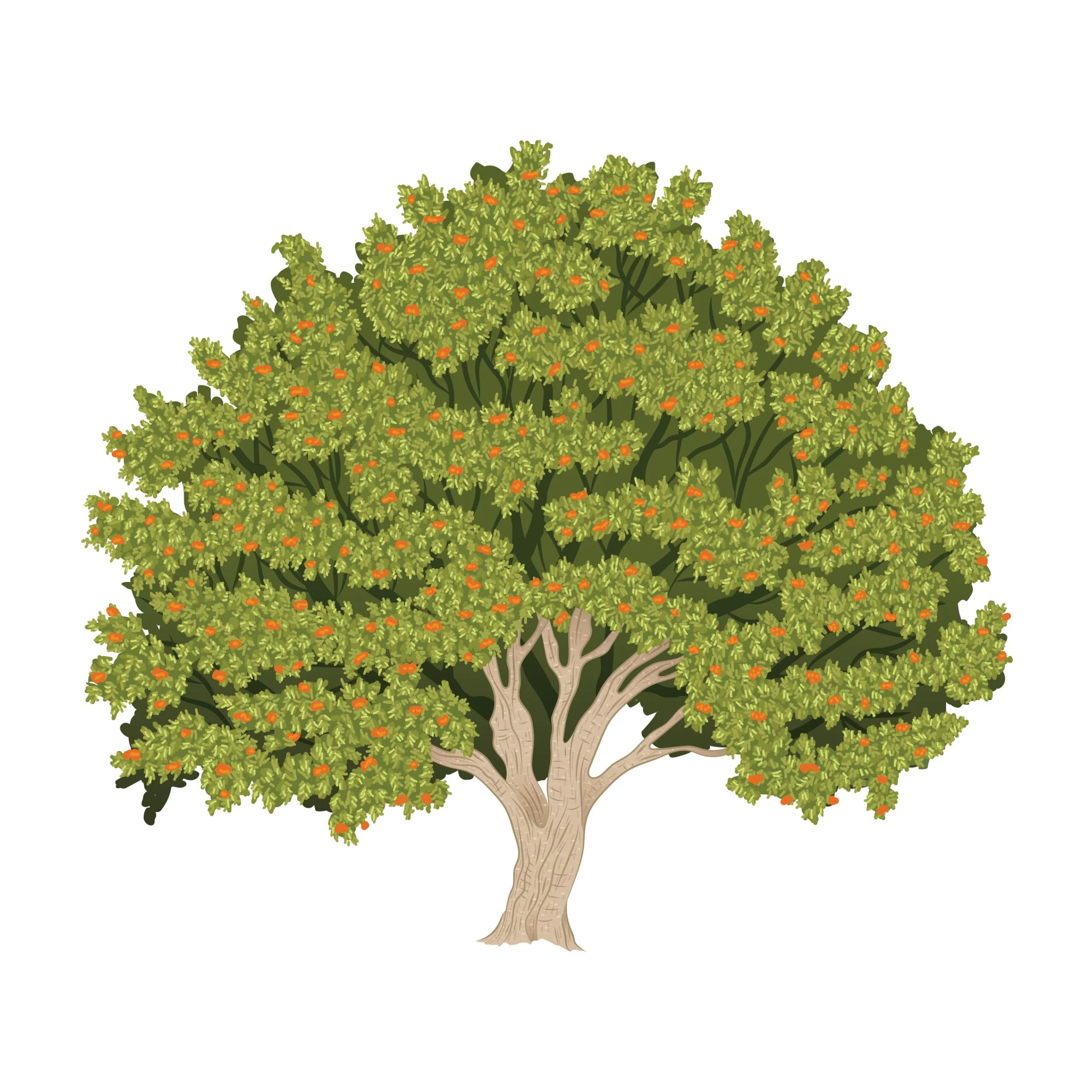 ESB_Biodiversity Interpretive Boards Illustrations_Emily Kouri_Illustration15.jpg