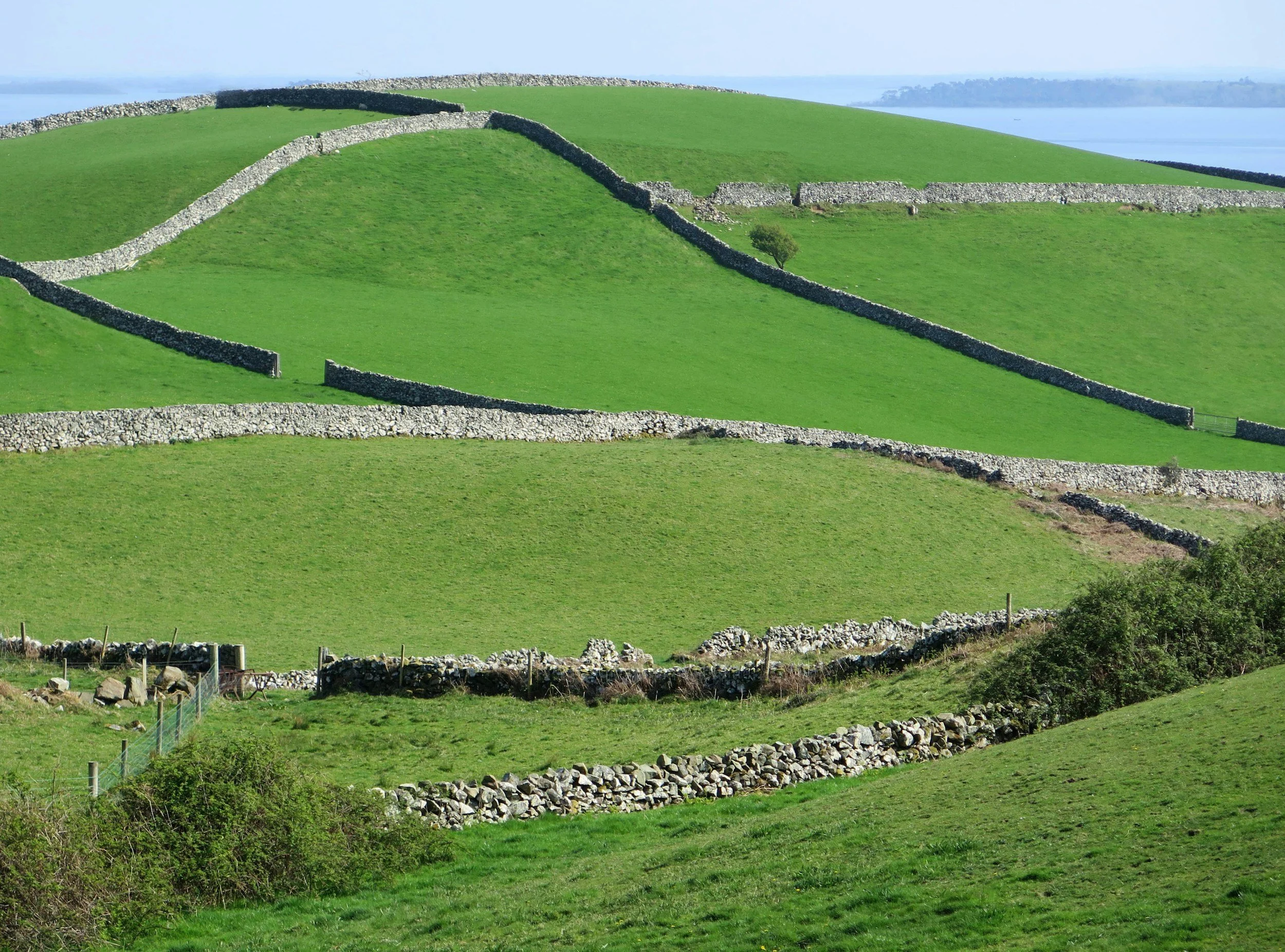 Rolling green hills divided by stone walls with a body of water in the background.