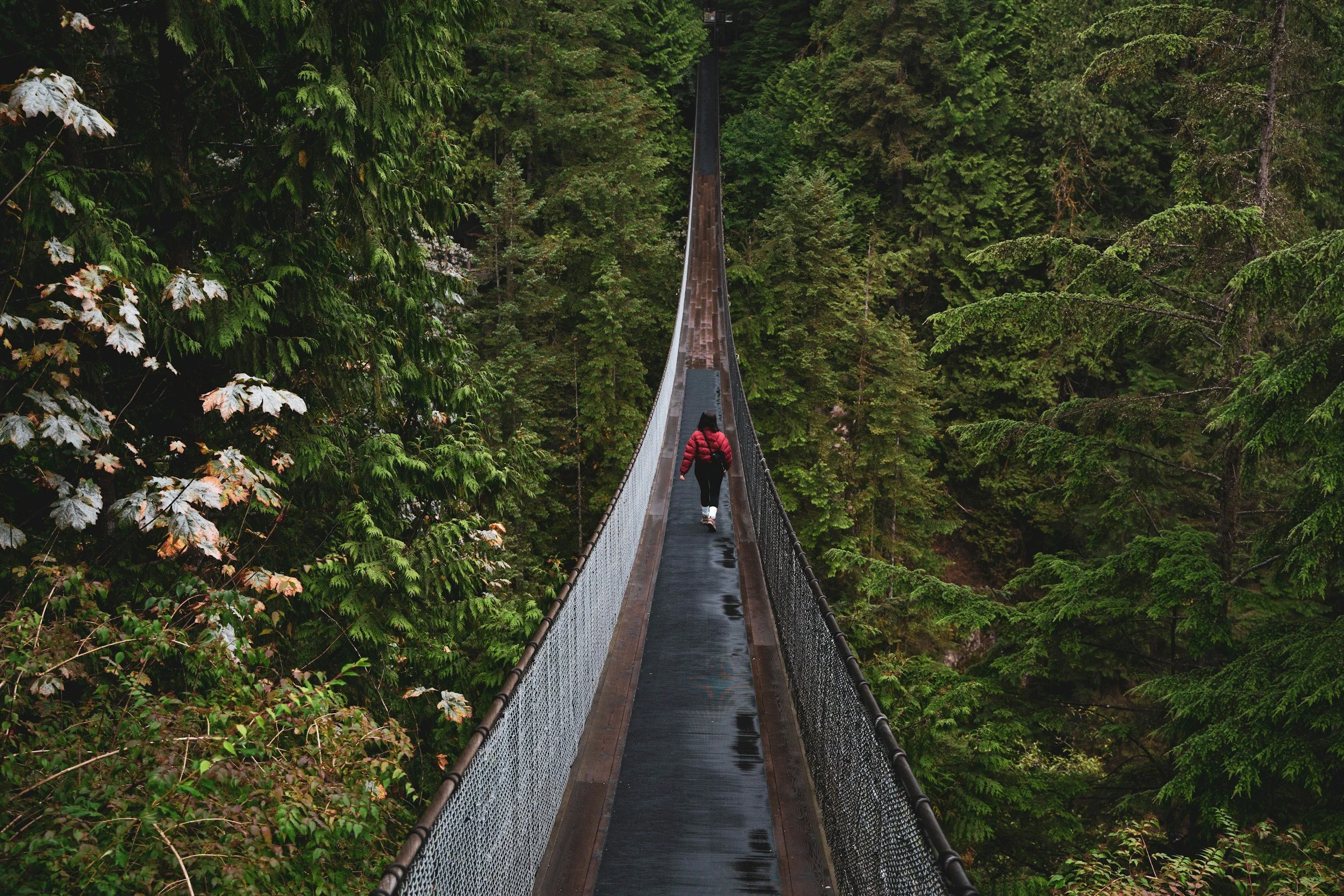 Capilano Suspension Bridge