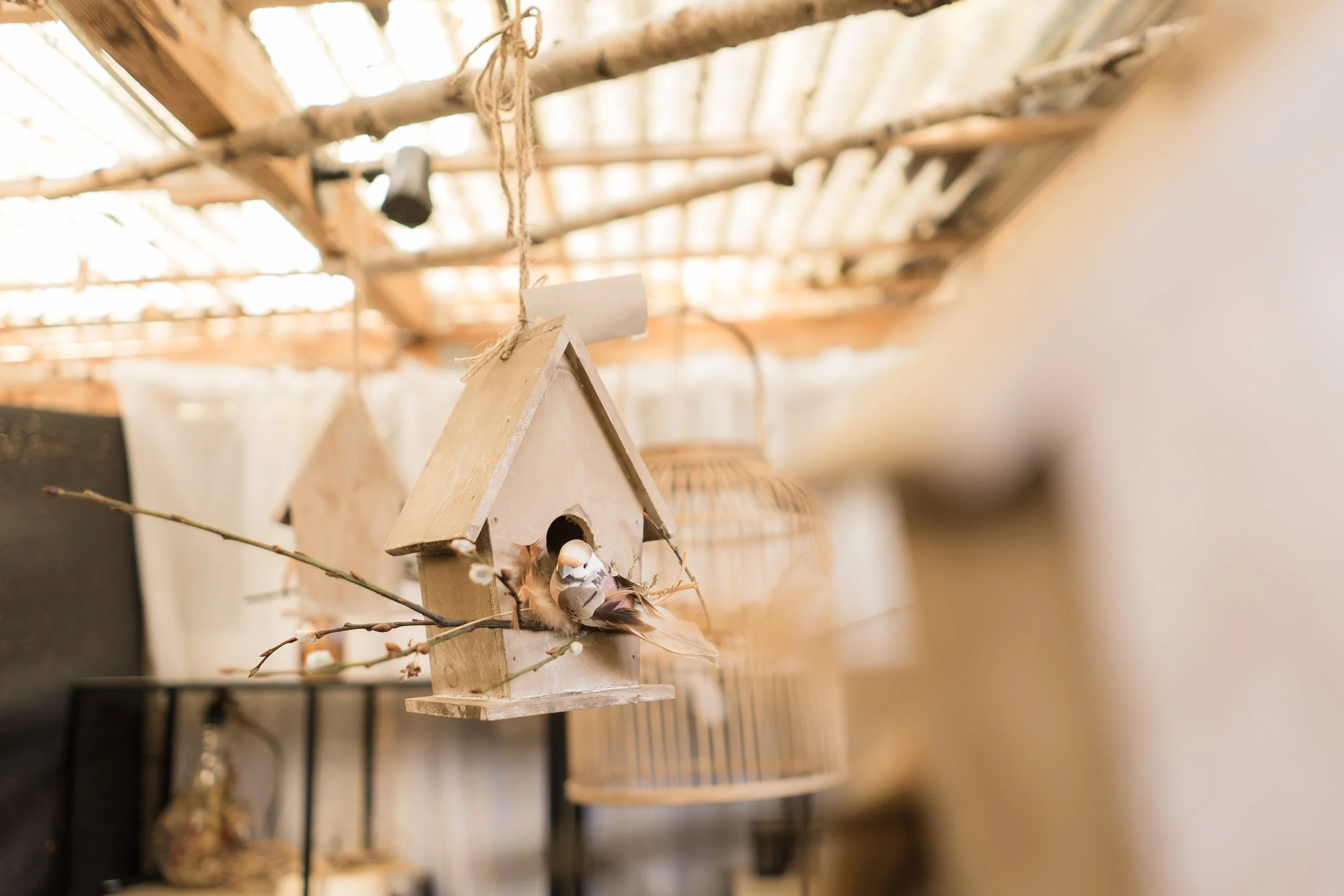 Balade dans l'hiver au coeur de la forêt 