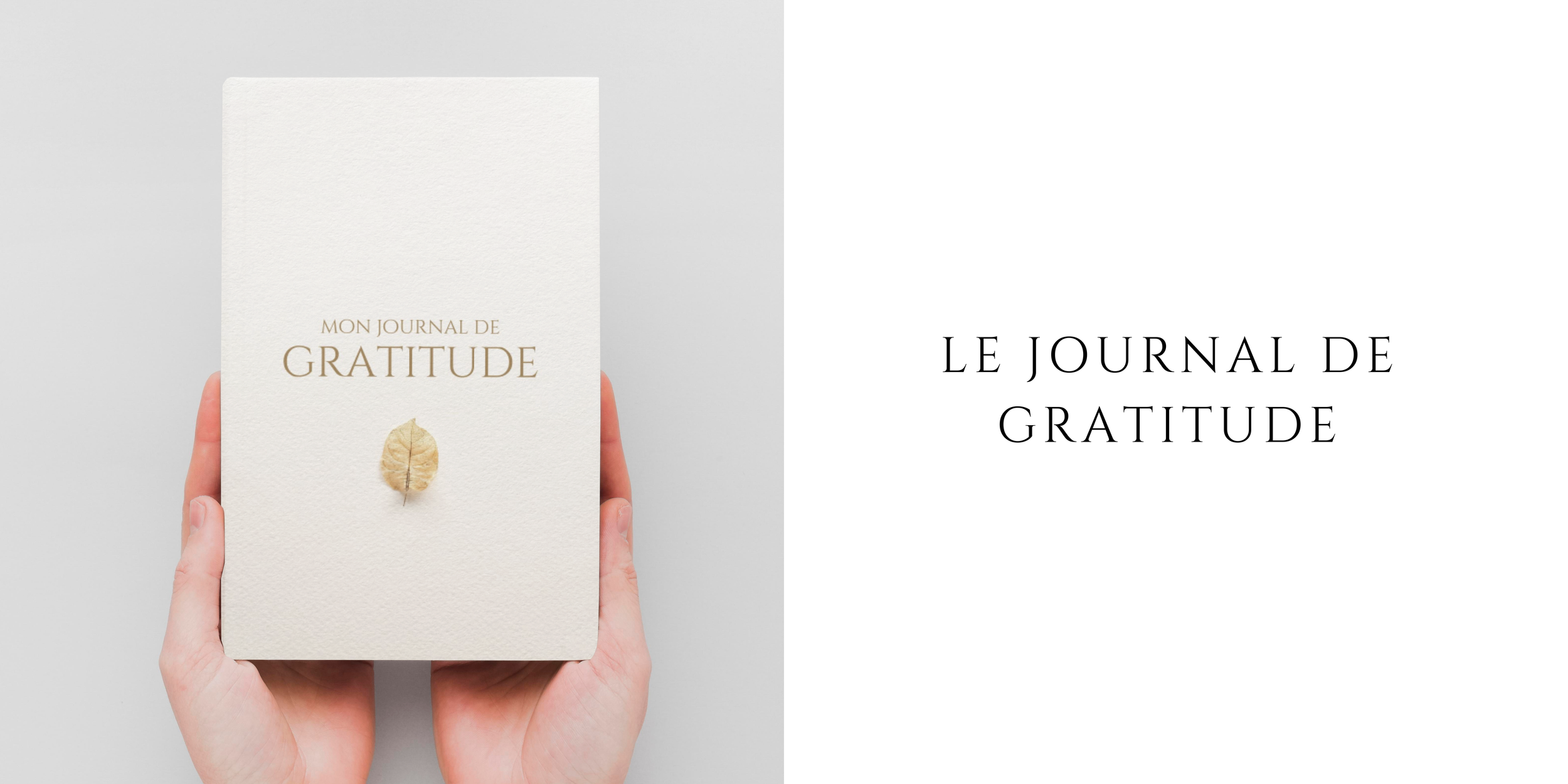 Journal Gratitude Andrew Neel.png