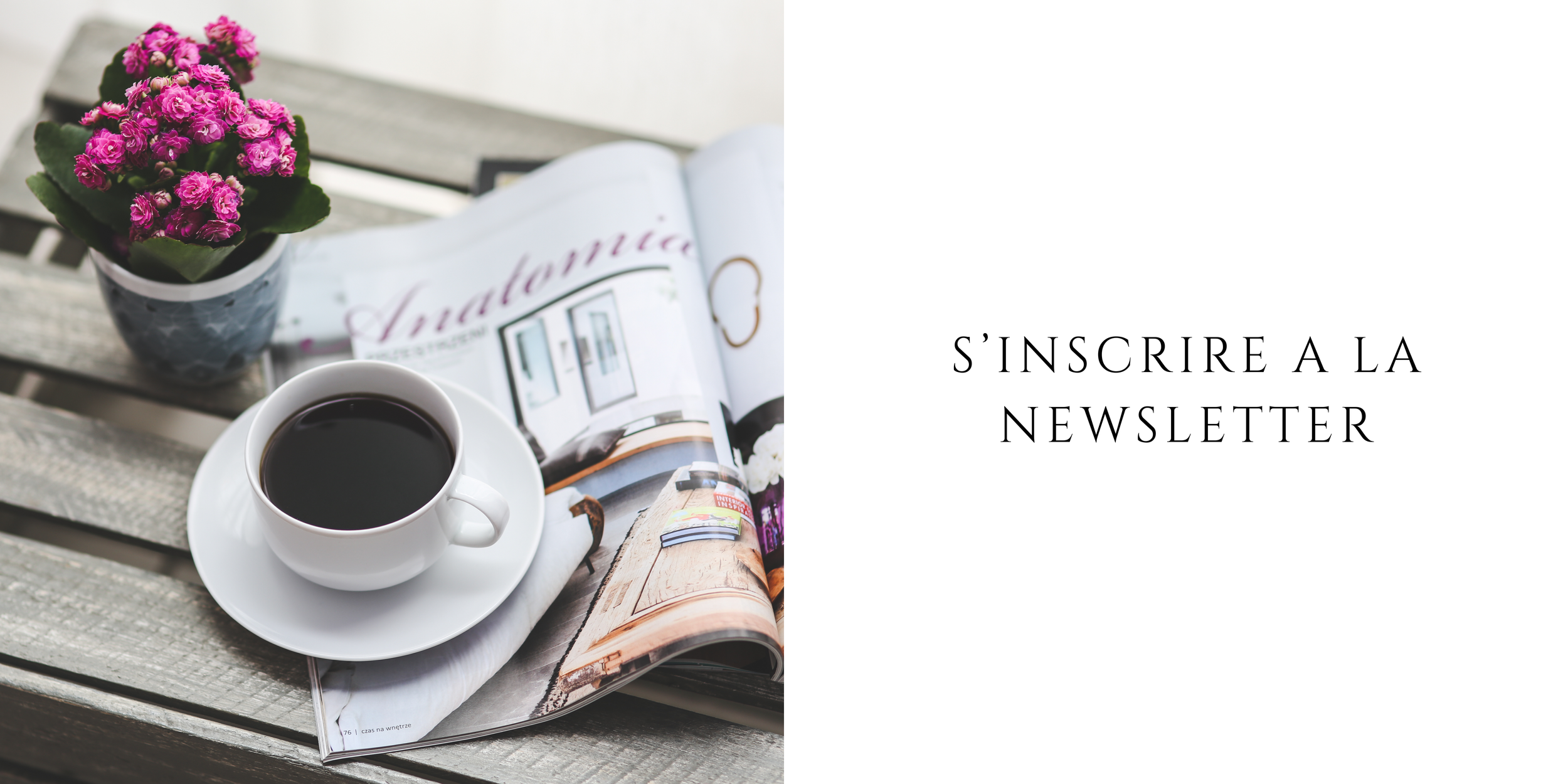 Newsletter Andrew Neel.png