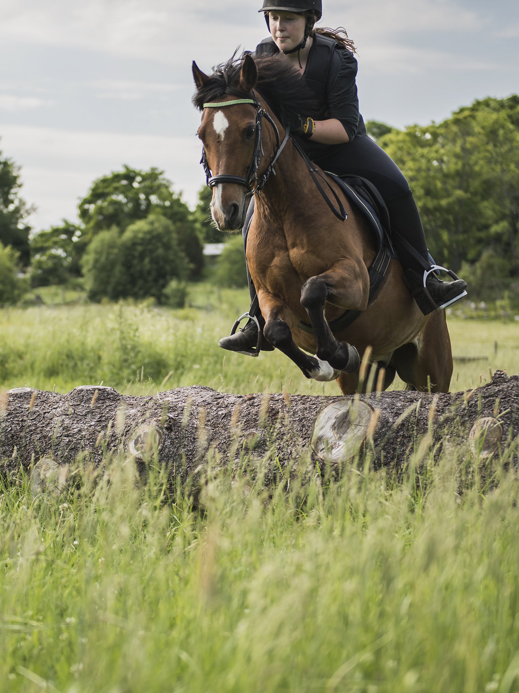 Photography-rider-and-horse-4-christina-bolander.jpg