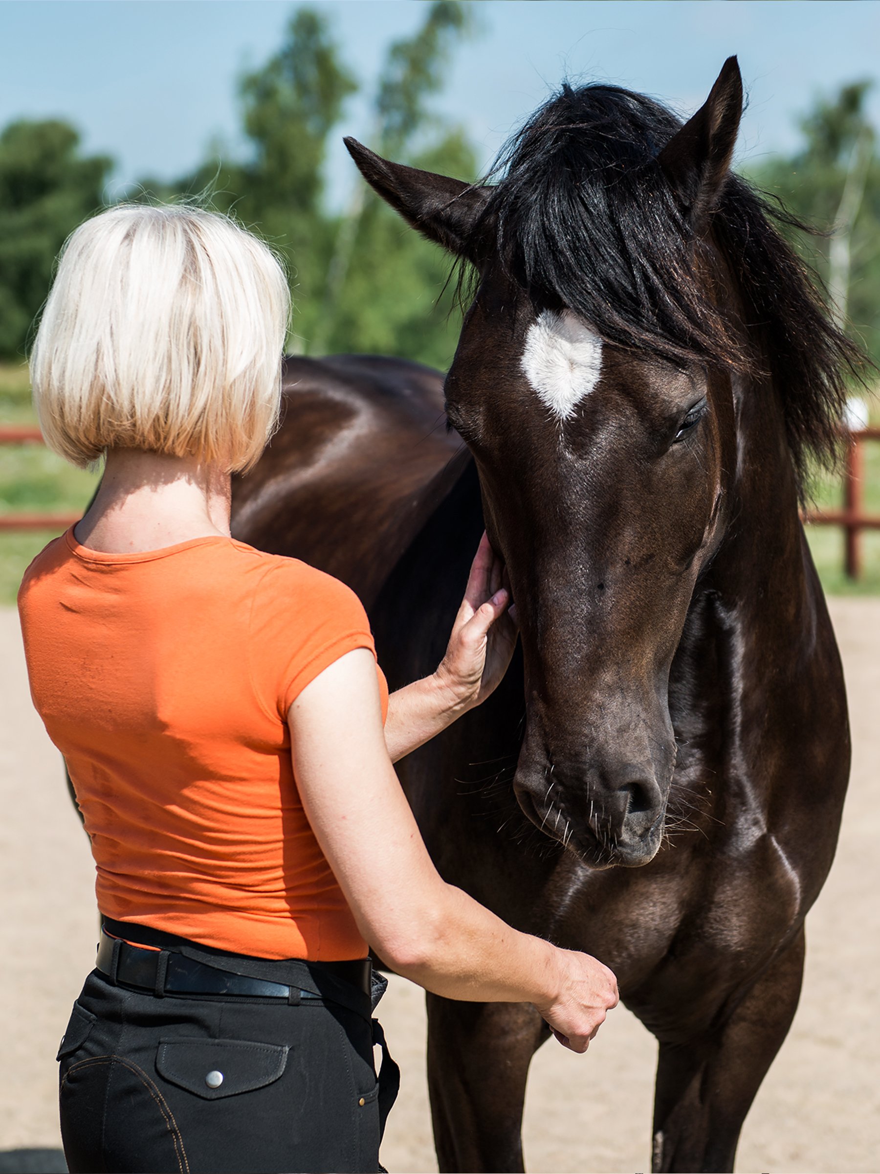 Photography-portrait-horse-christina-bolander.jpg