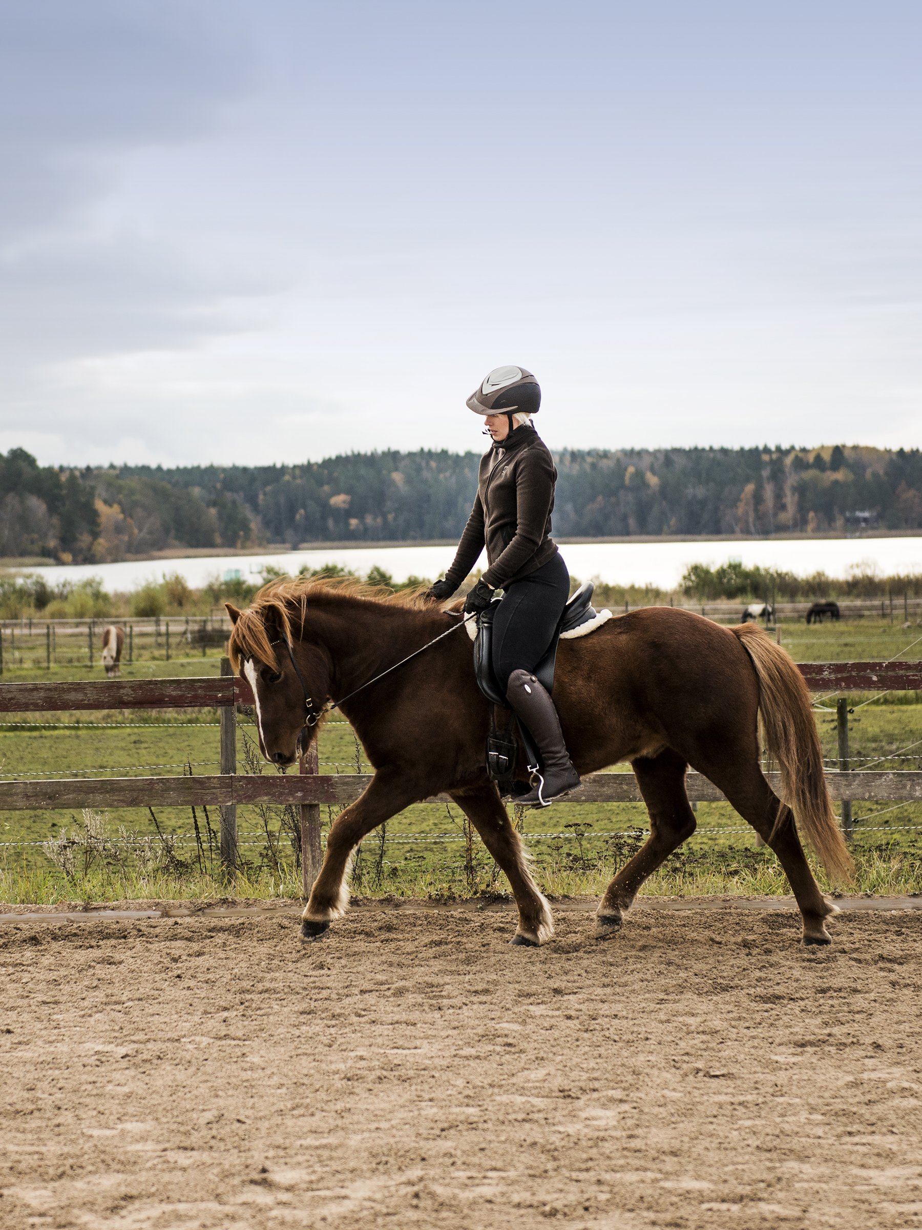 Photography-rider-and-horse-2-christina-bolander.jpg