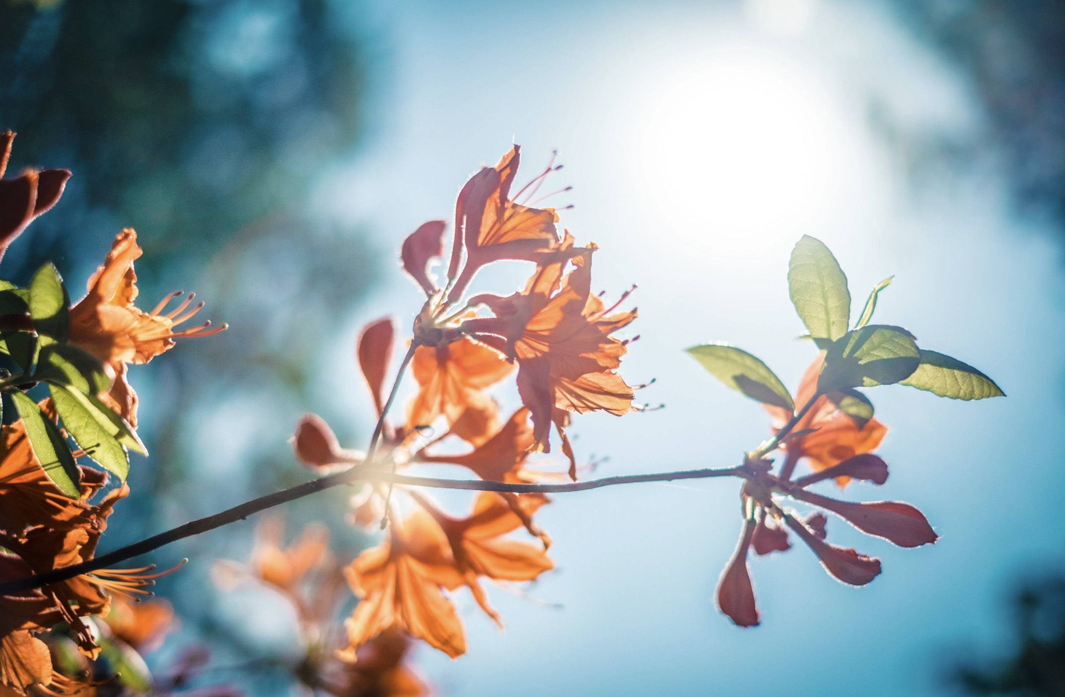 Nourish: A Framework for Restoring Yourself