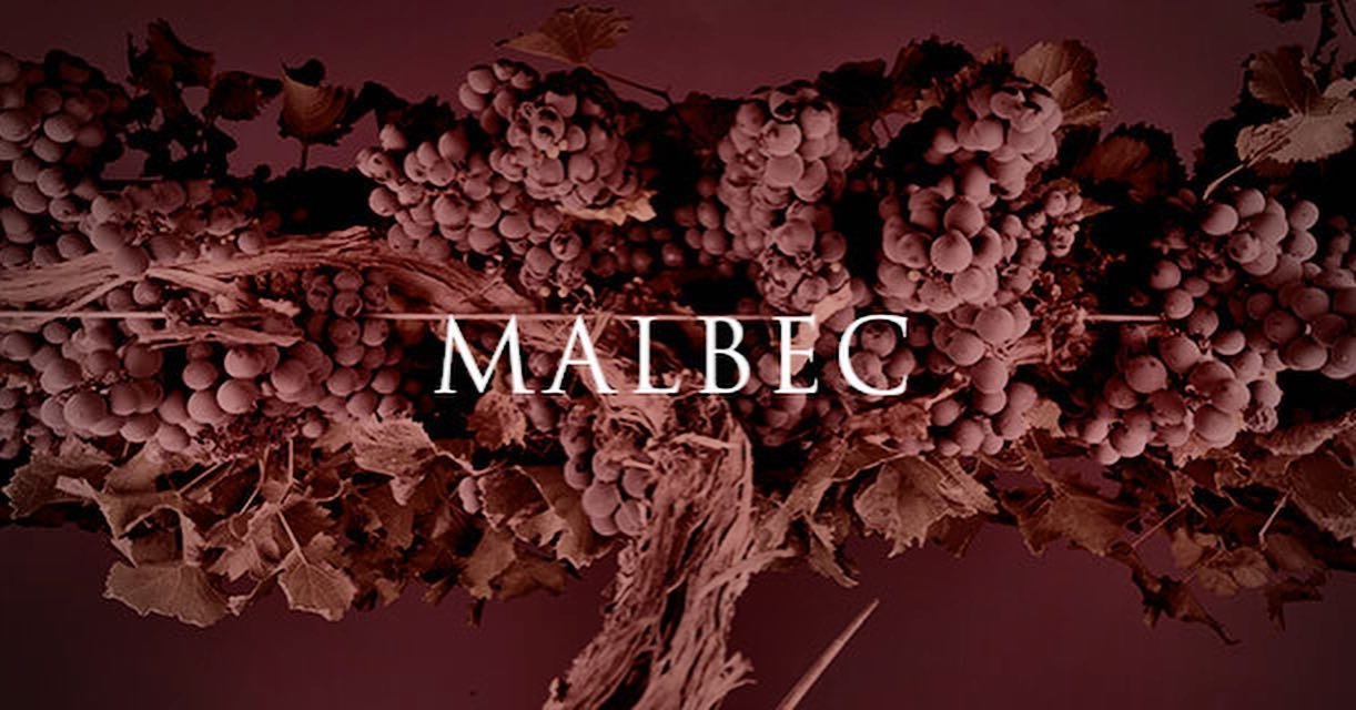 18/04, 8pm. Inside the Bottle this week, MALBEC. Wednesday is International Malbec Day so we are going to celebrate the legendary grape by enjoying two Argentinian wines and two from Spain. We&rsquo;ll look at the heritage, history and flavours of th
