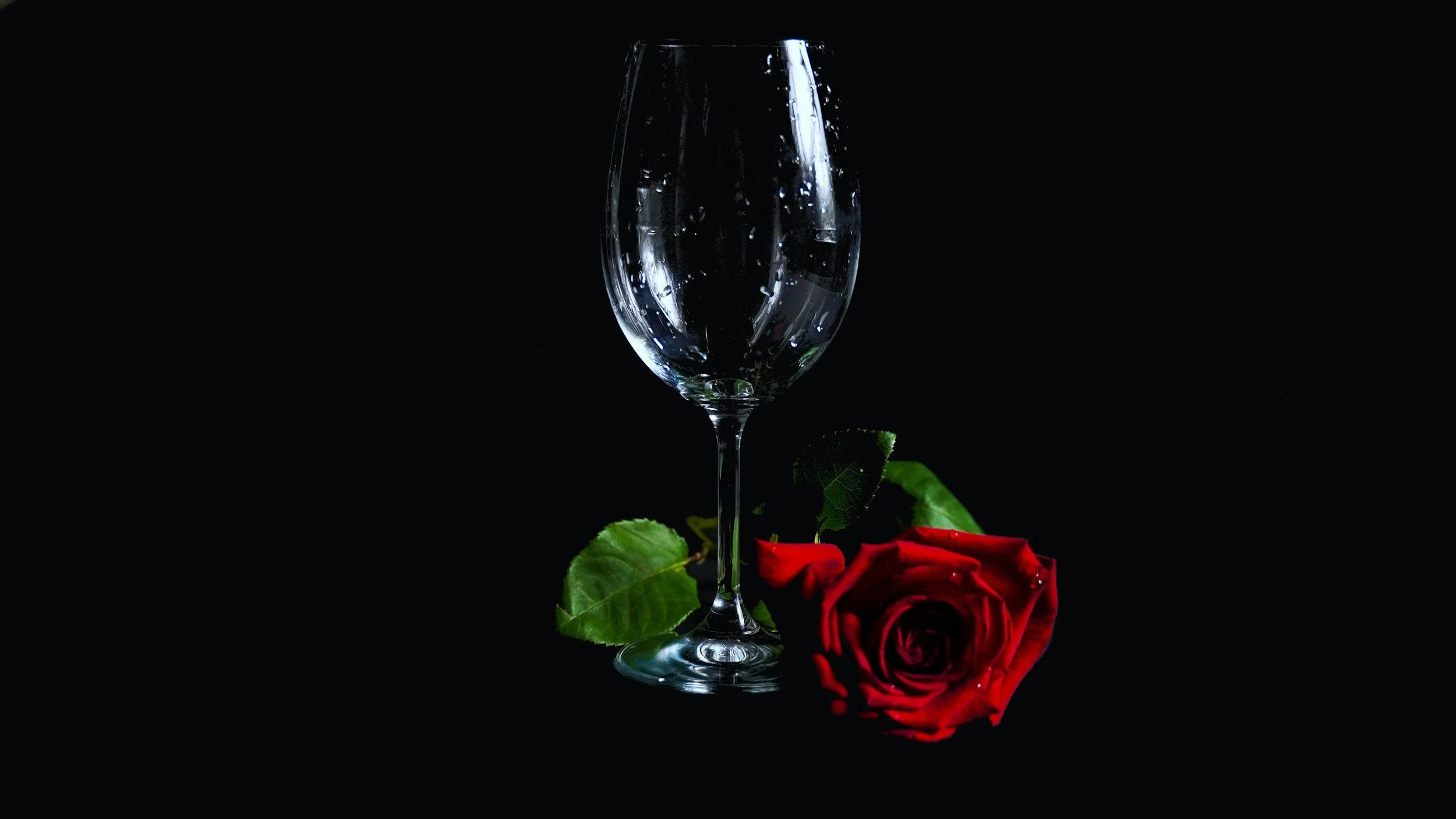 INSIDE THE BOTTLE: CAVA VS CHAMPAGNE
