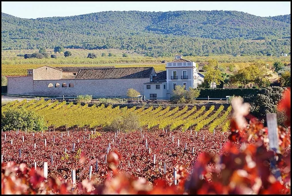 27/11: We are incredibly excited for this week&rsquo;s tasting - we are welcoming the legendary winery Mustiguillo to our shop! They are located in the heart of Valencia and will be joining us in the capital and taking us through four extraordinary a