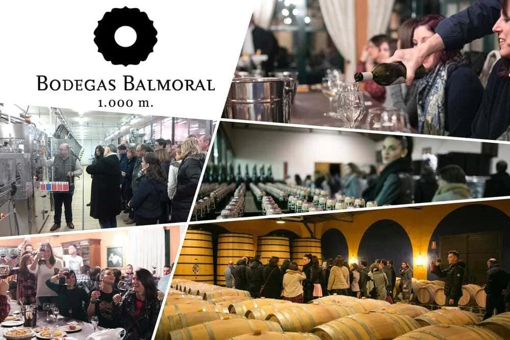 INSIDE THE BOTTLE: VIÑEDOS BALMORAL