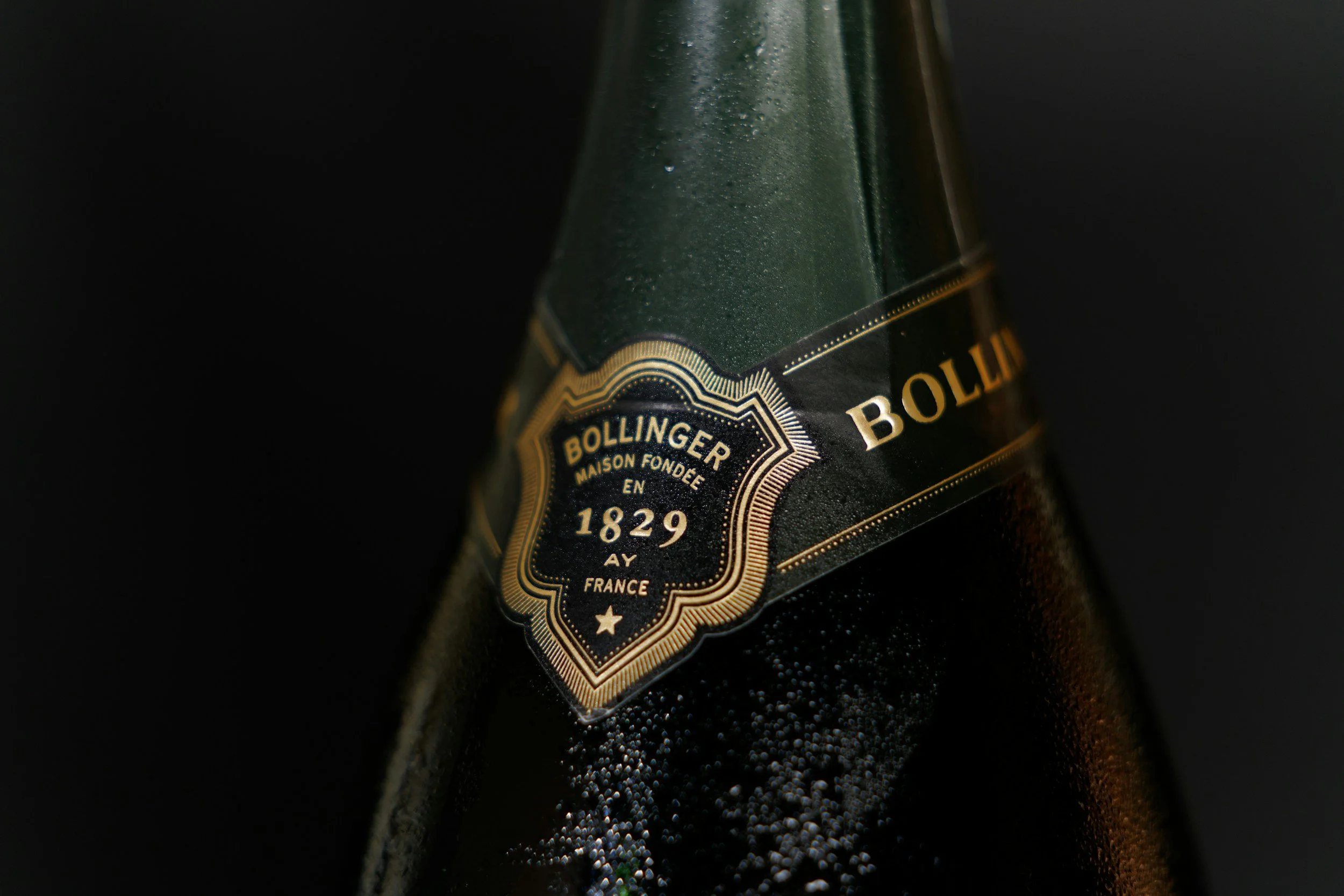 FIESTA AYALA / BOLLINGER