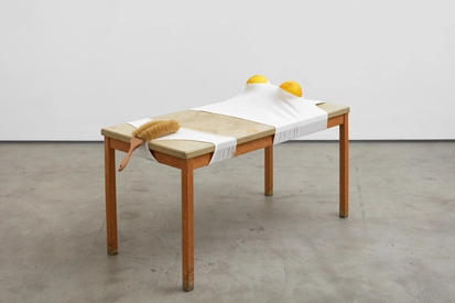 sarah lucas.png