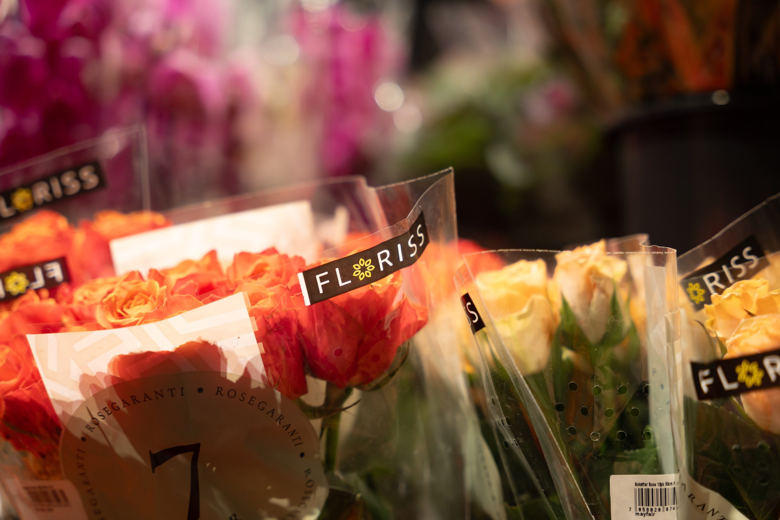 åpning-blomsterpian-7.jpg