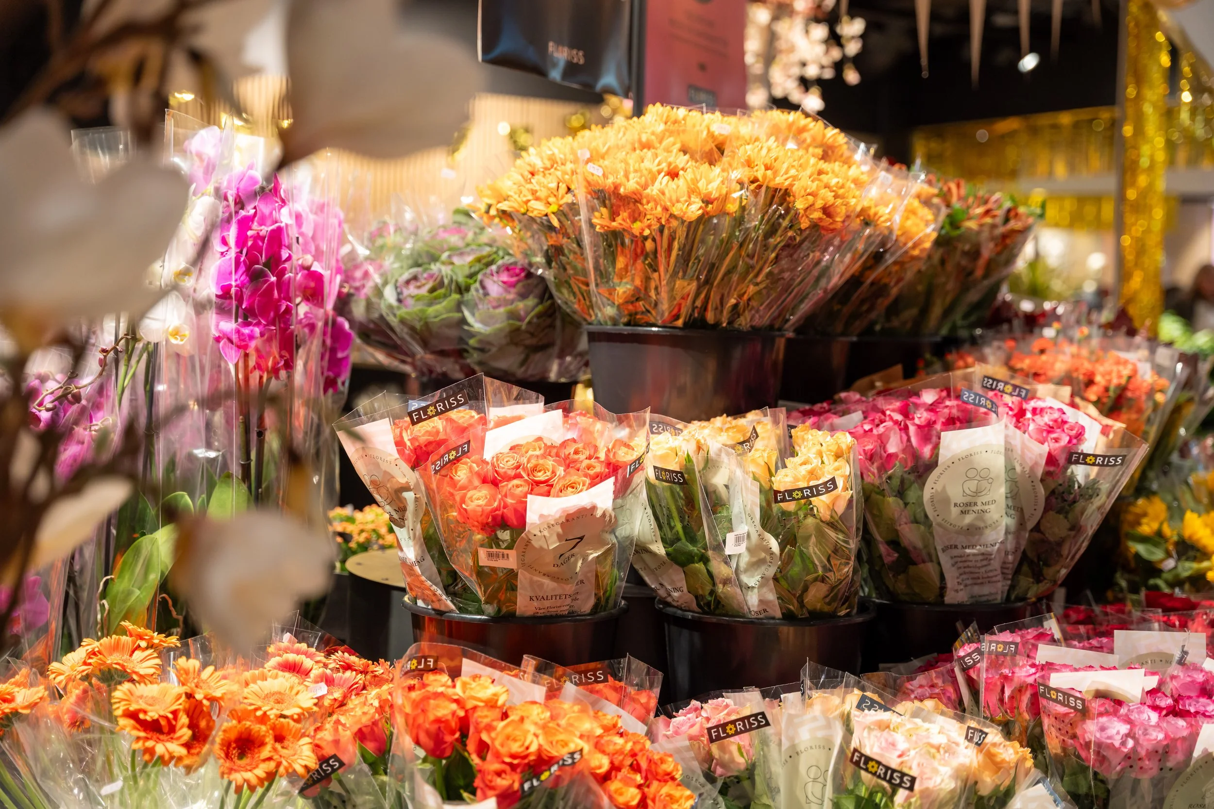 åpning-blomsterpian-19.jpg