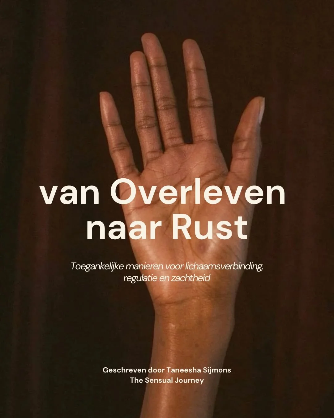 van Overleven naar Rust: jouw gratis toolkit 🤎

het afgelopen jaar, waarin ik meer financi&euml;le stress &amp; mentale klachten ervaarde dan normaal (life as a single mom + business owner, going through trauma, while the economy is going shit ain&r