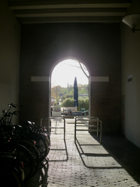 IMG_9162.png