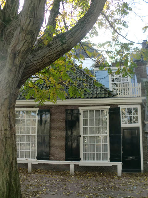 IMG_9136.png