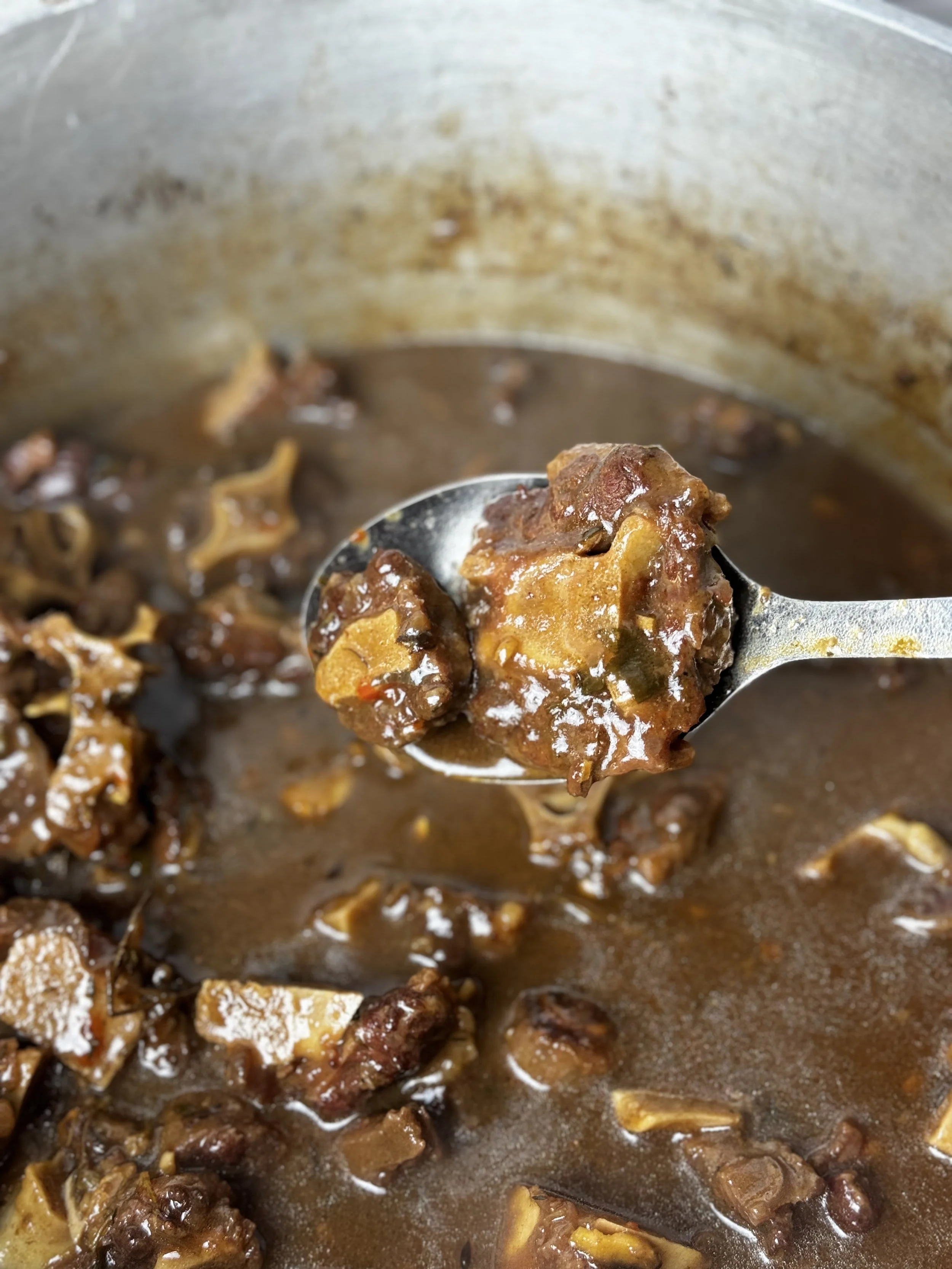 Jamaican Oxtail