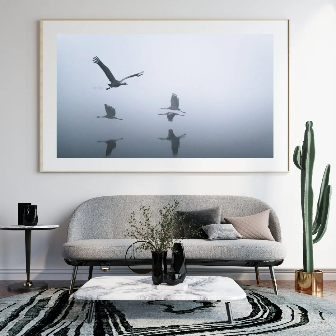 Living room with a framed photo of flying birds on a gray wall, a light gray sofa with cushions, a marble coffee table with vases, a black side table with a black vase, a tall cactus in a gold planter, and a black and white rug.