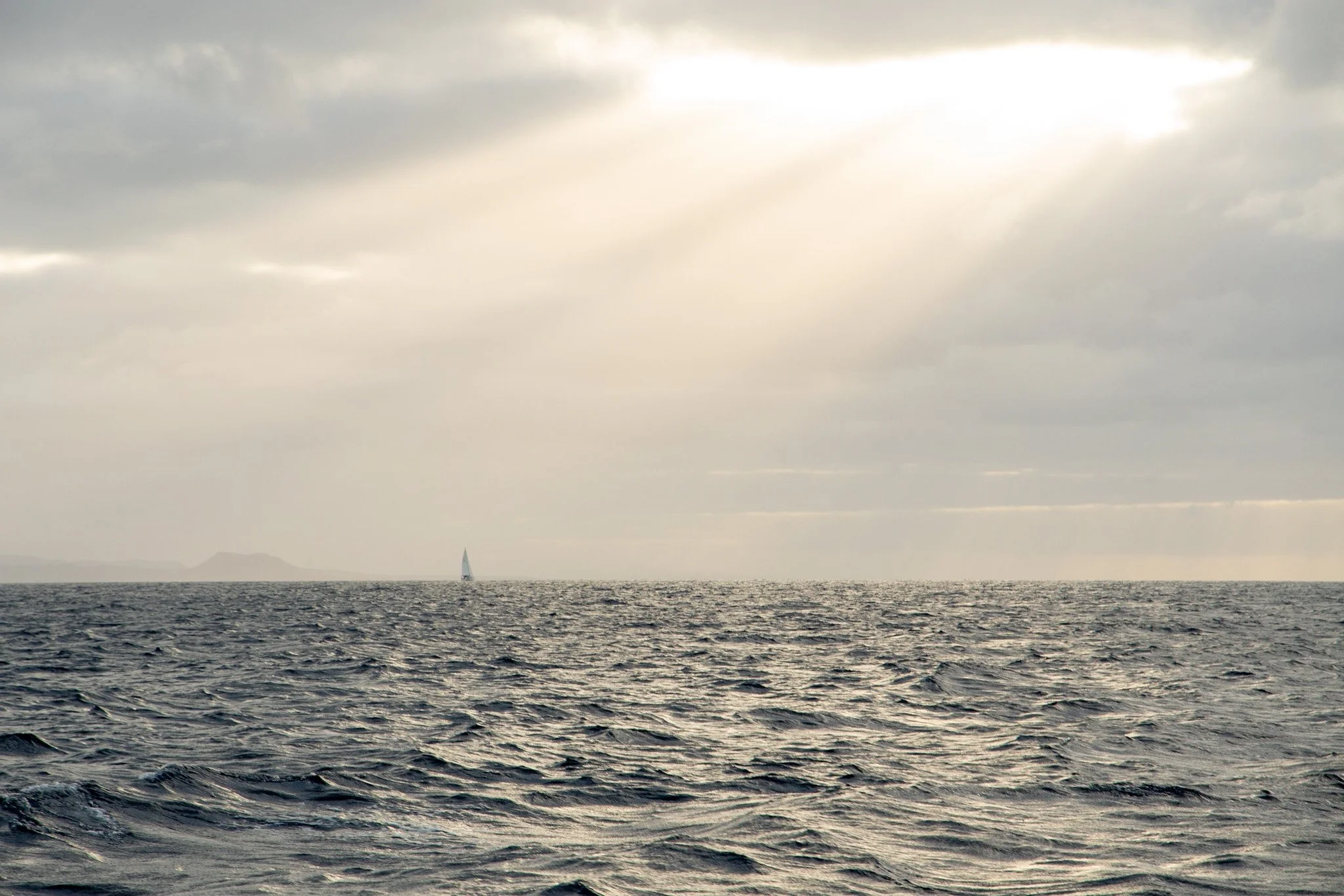 DSC_7179.jpg