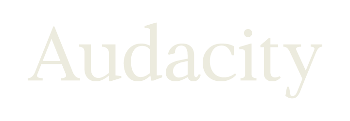 Audacity Investments