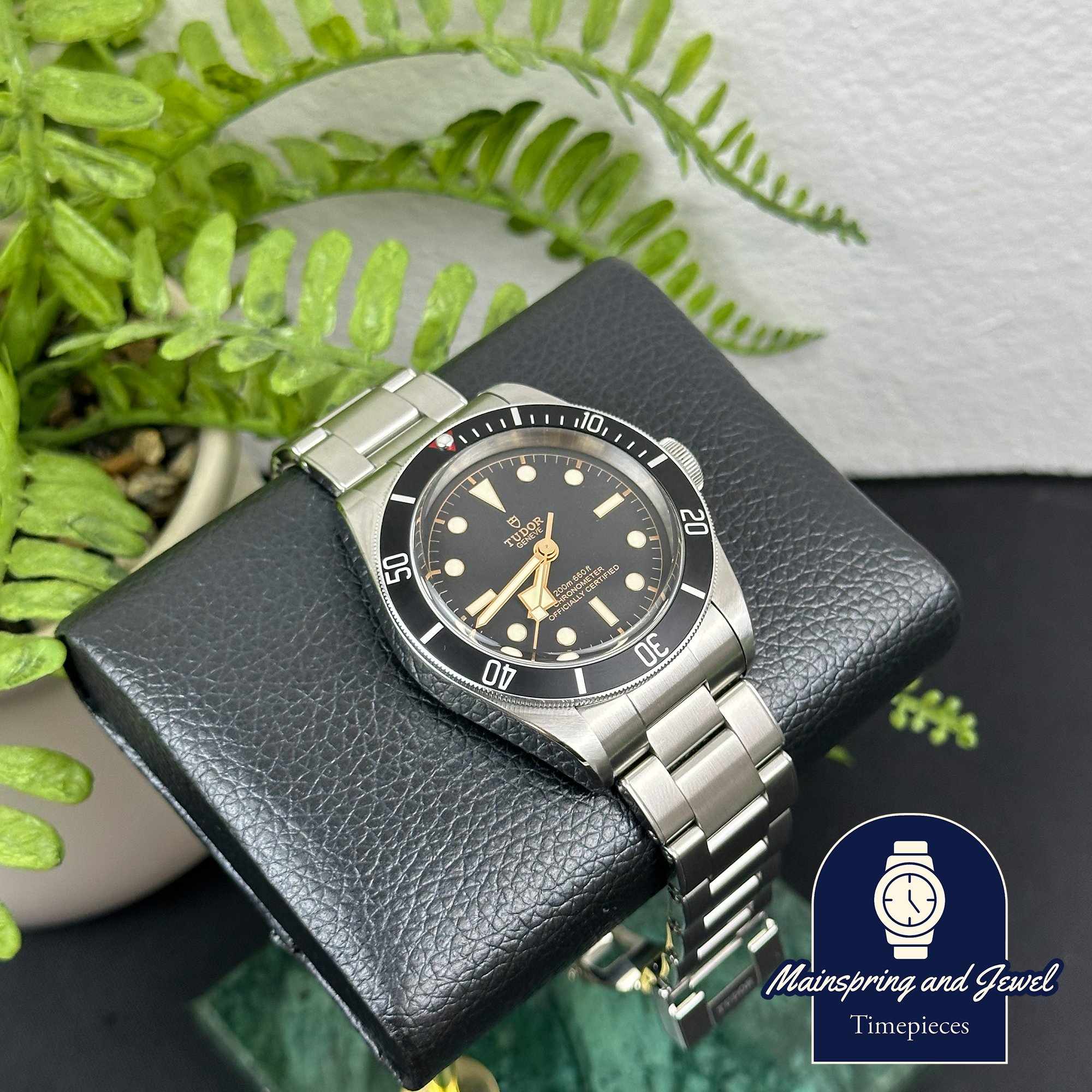 Tudor Black Bay Heritage - Black Bezel