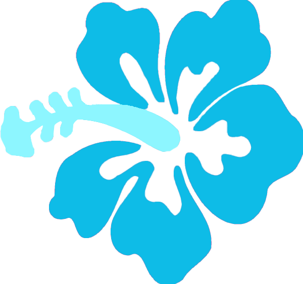 2025 Application Miss Hawaii Plus 2025-application-miss-hawaii-plus