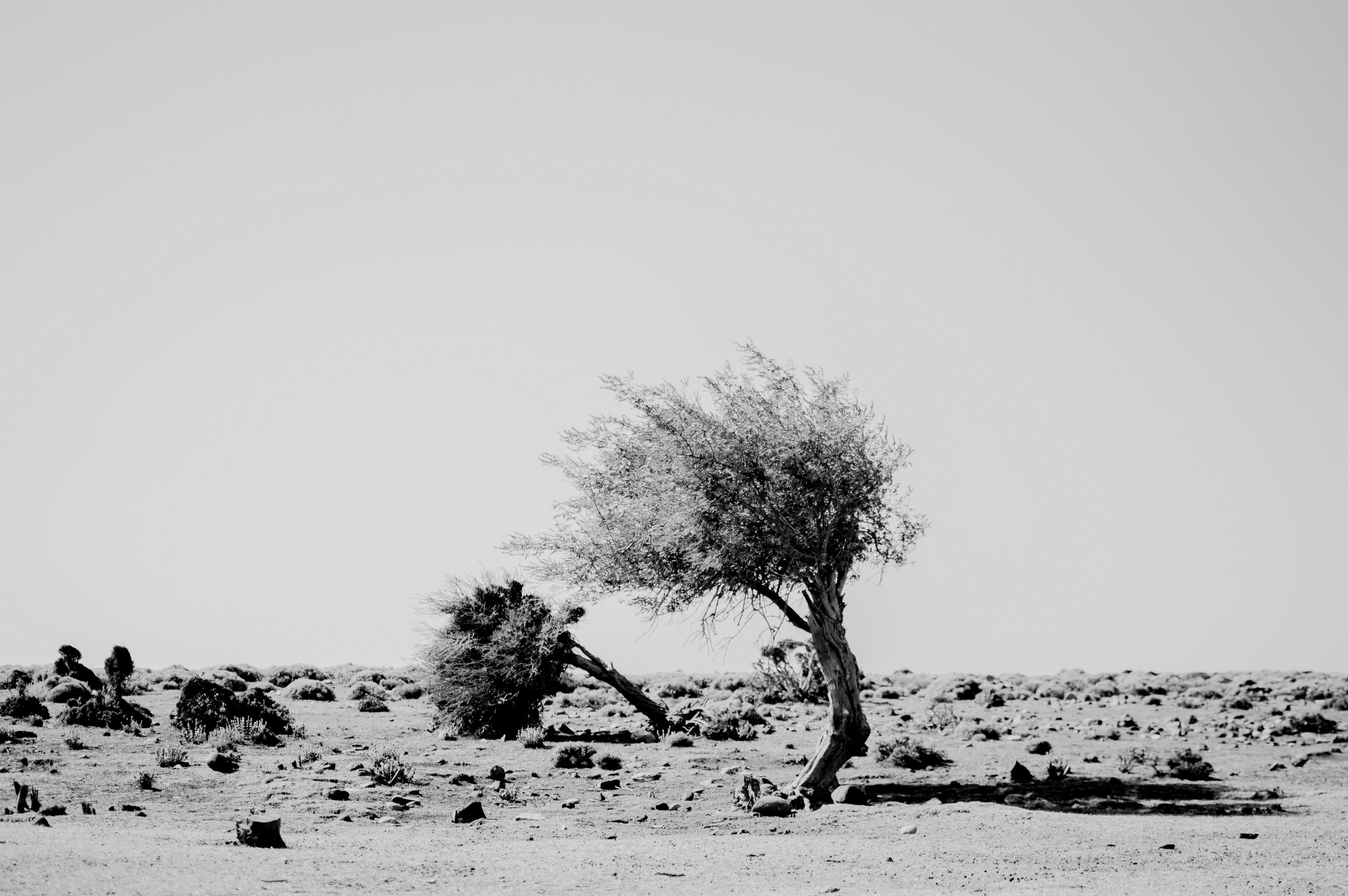 dentra_photography_artemis_tsakiri.jpg