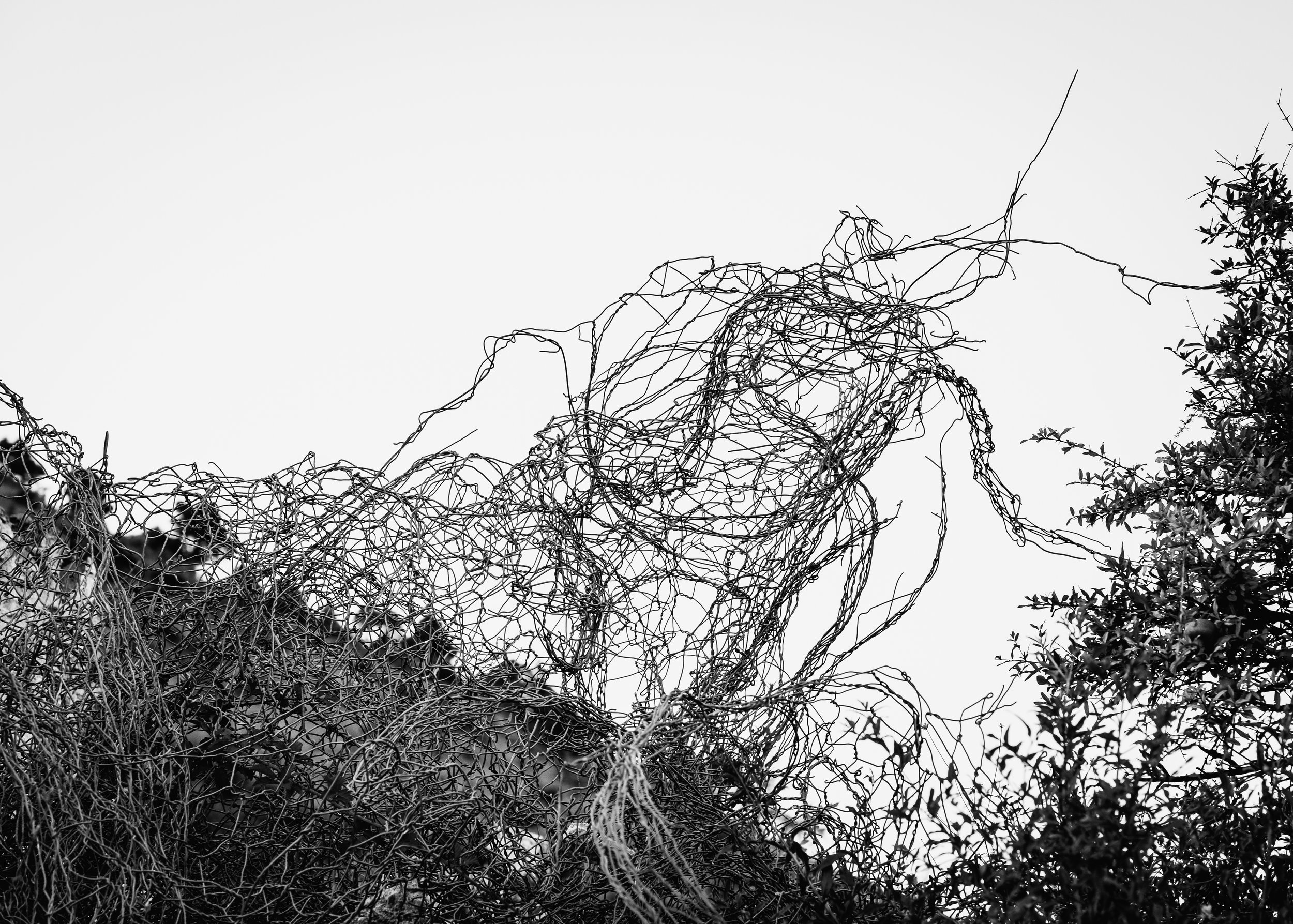wire_meshes_photography_artemis_tsakiri.jpg