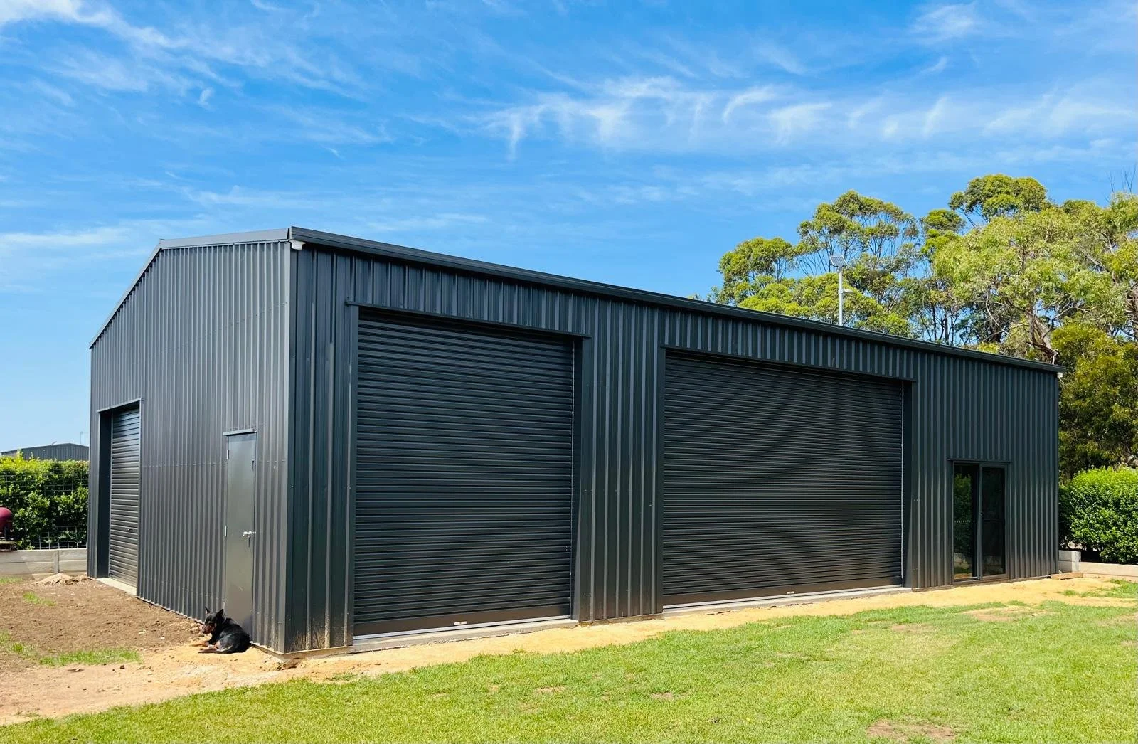 Black metal industrial storage shed with large roll-up doors and a small door on the side, situated on a grassy area with trees and a blue sky in the background.