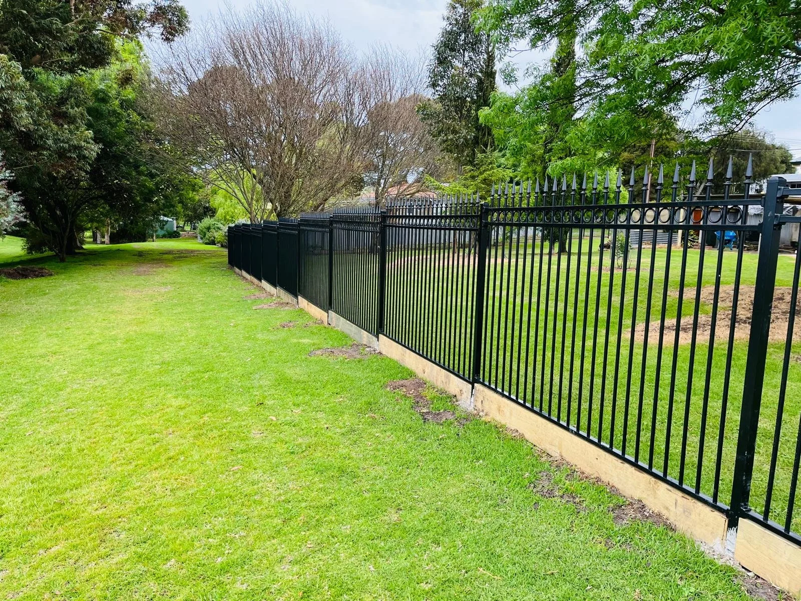 A black metal fence runs along a grassy yard with trees in the background.