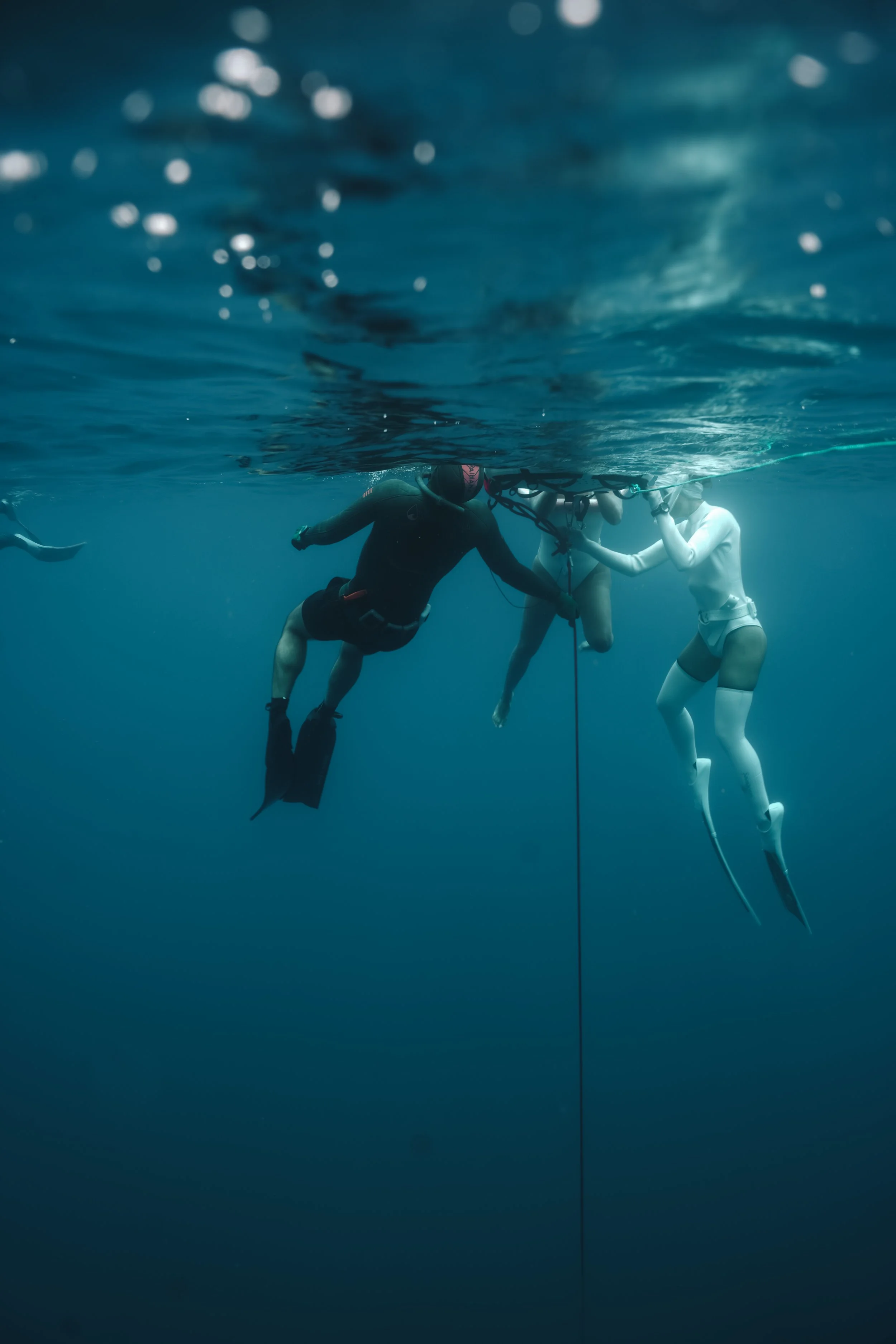 Beginner Freediving - Molchanovs Wave 1 Course