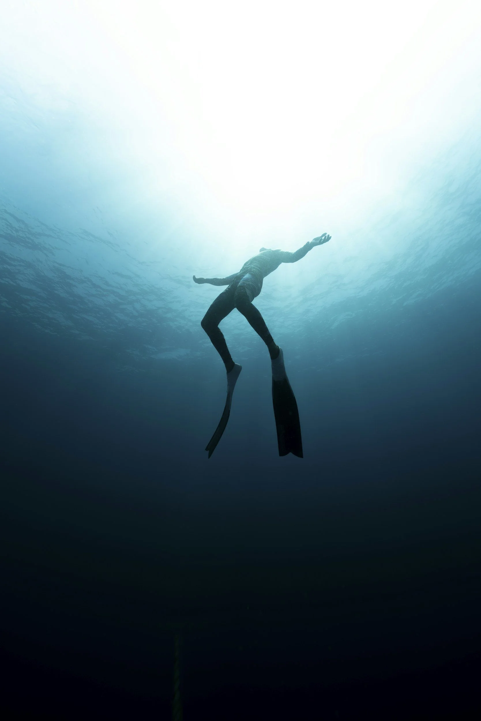 Surrender to Stillness: Freediving & Yoga Retreat