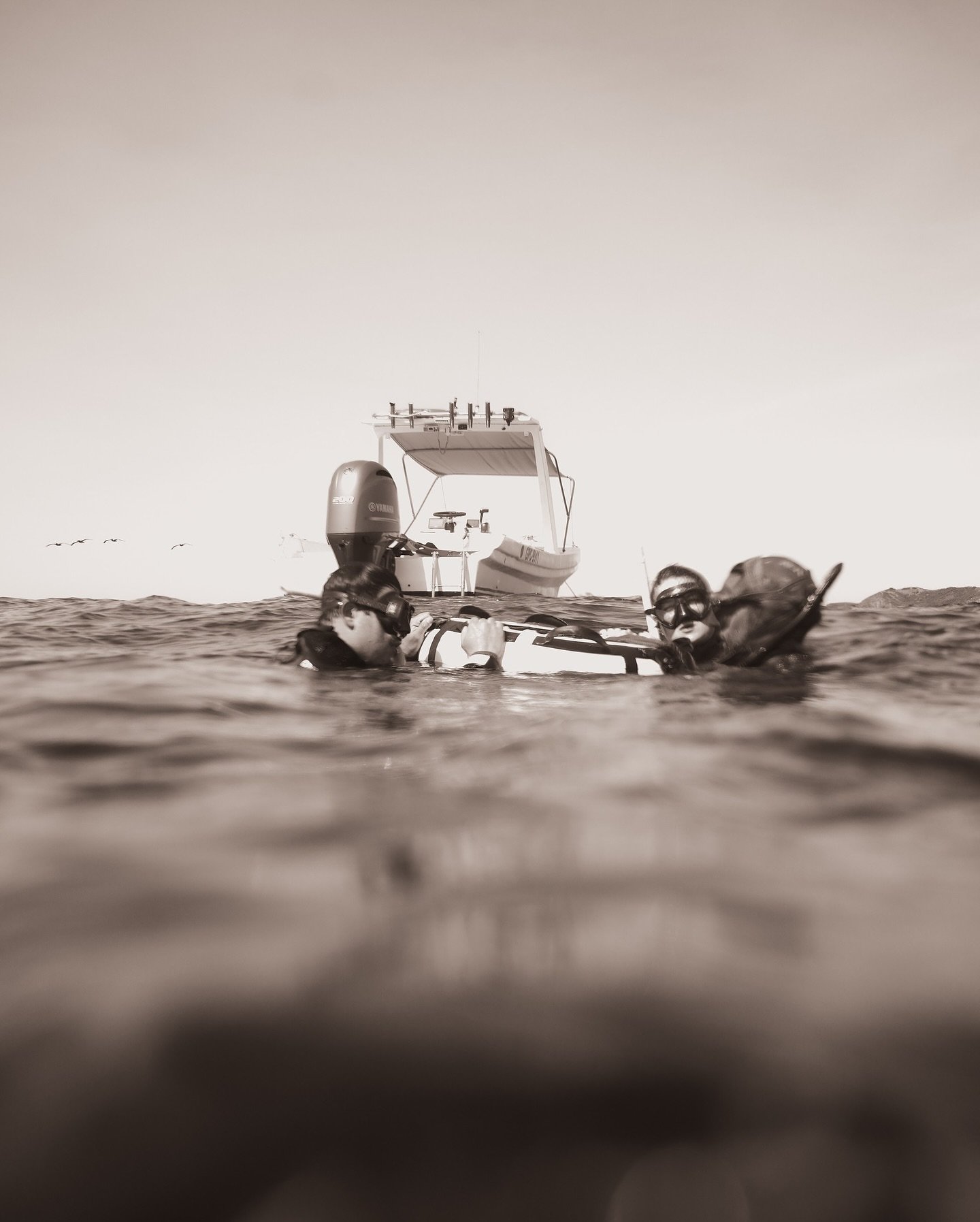 Your invisible plus one, every dive. ⁠
⁠
When your mind is still and your breath is held, know that we&rsquo;re right there. Think of your safeties as your guardian angels below the surface.