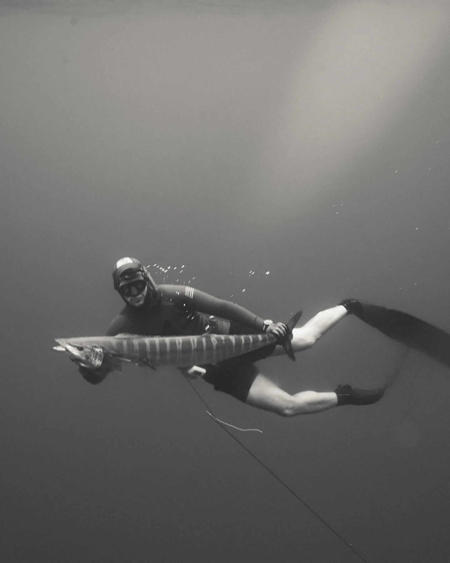 Blue Water Charter.⁠
⁠
There are adventures&hellip; and then there&rsquo;s heading offshore into that endless blue, following spinner dolphins and dropping right into the heart of the action.⁠
⁠
Our Blue Water Spearfishing Charter is built for those 