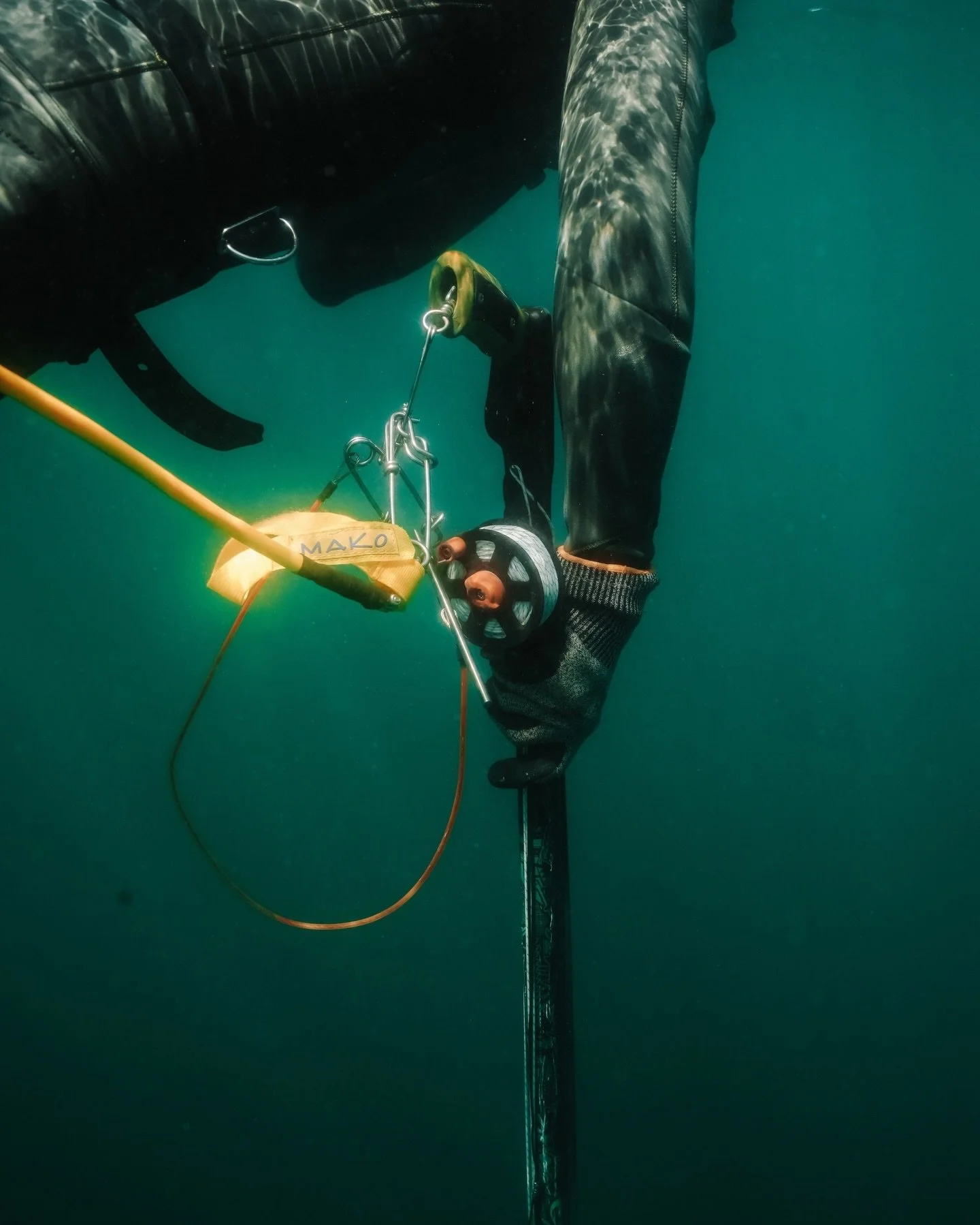 Quality gear means better dives, and cleaner shots.⁠
⁠
On our Open Spearfishing Tours, we set you up with the same reliable setup we trust on every private charter: safe, streamlined, and built for real underwater hunting.⁠
⁠
These tours are all abou