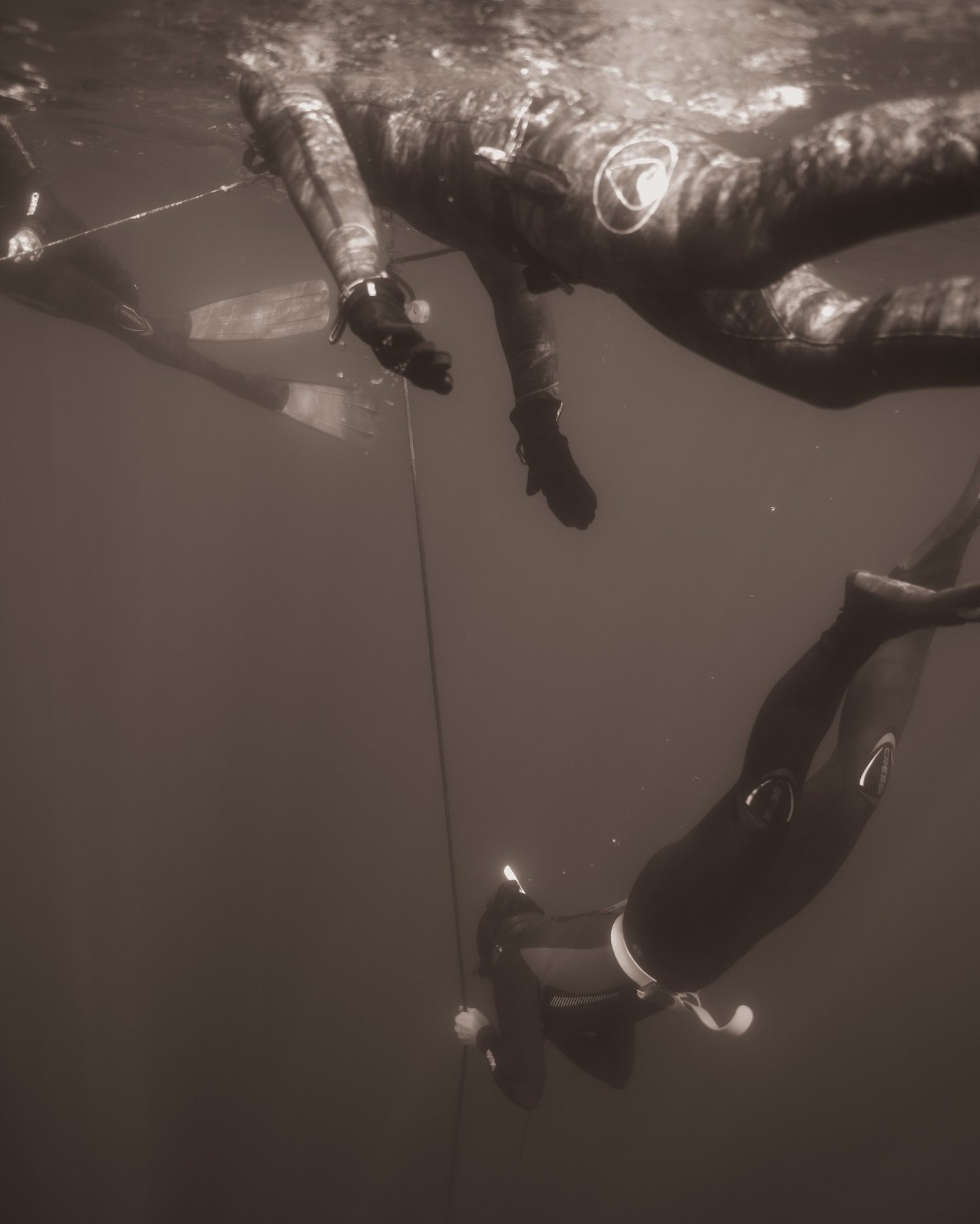 Your next depth starts here.⁠
⁠
Wave 2 is a course where your diving becomes more controlled, more efficient, and more intentional.⁠
⁠
You&rsquo;ll refine your Frenzel, improve your no-fin technique, and push your limits with structured guidance acro