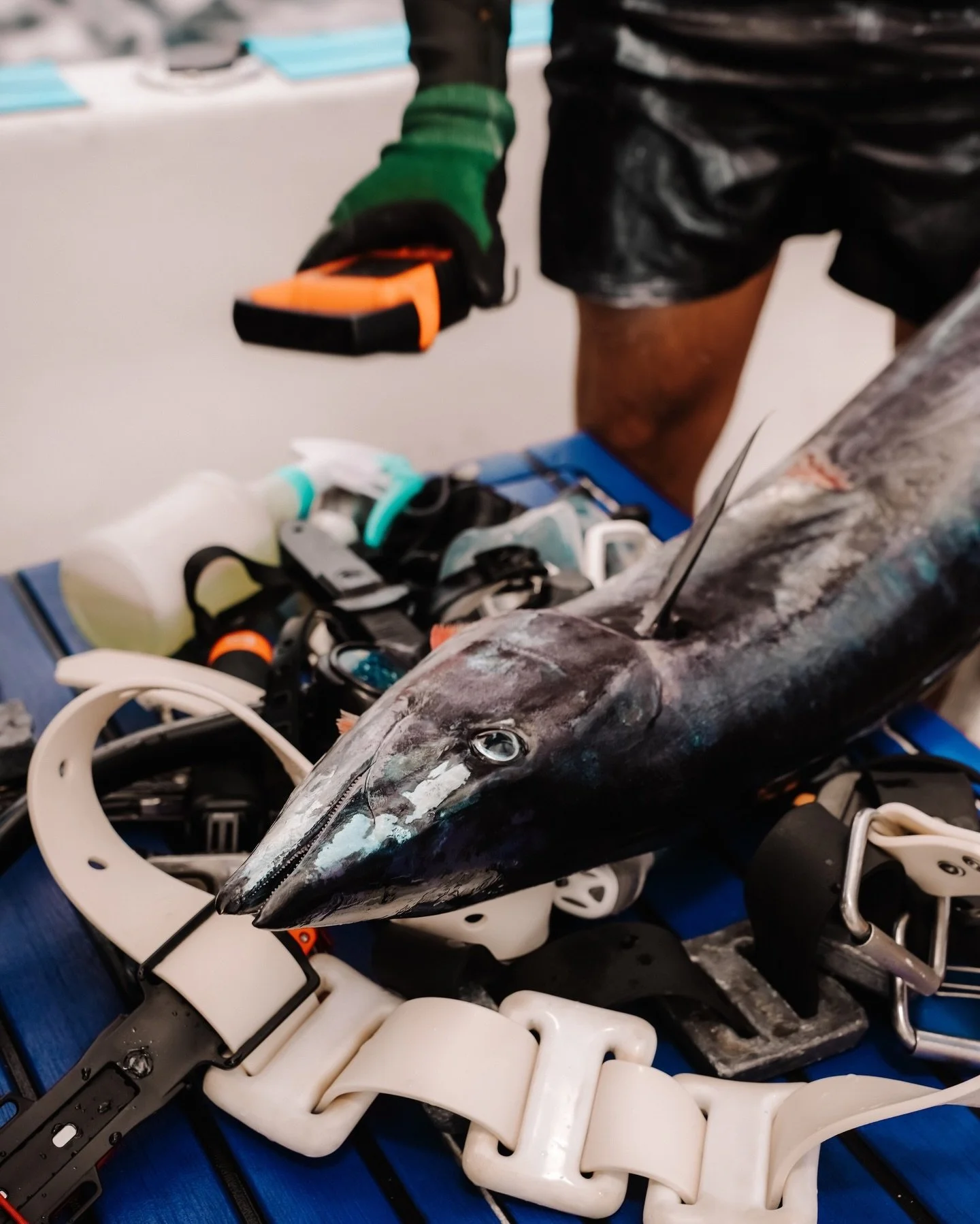 Some days you dive for the experience.⁠
⁠
Some days you come back with a new Altum catch record.⁠
⁠
We track record catches across our tours, and breaking one comes with prizes and exclusive discounts.⁠
⁠
Curious to see what&rsquo;s on the board?⁠
⁠
