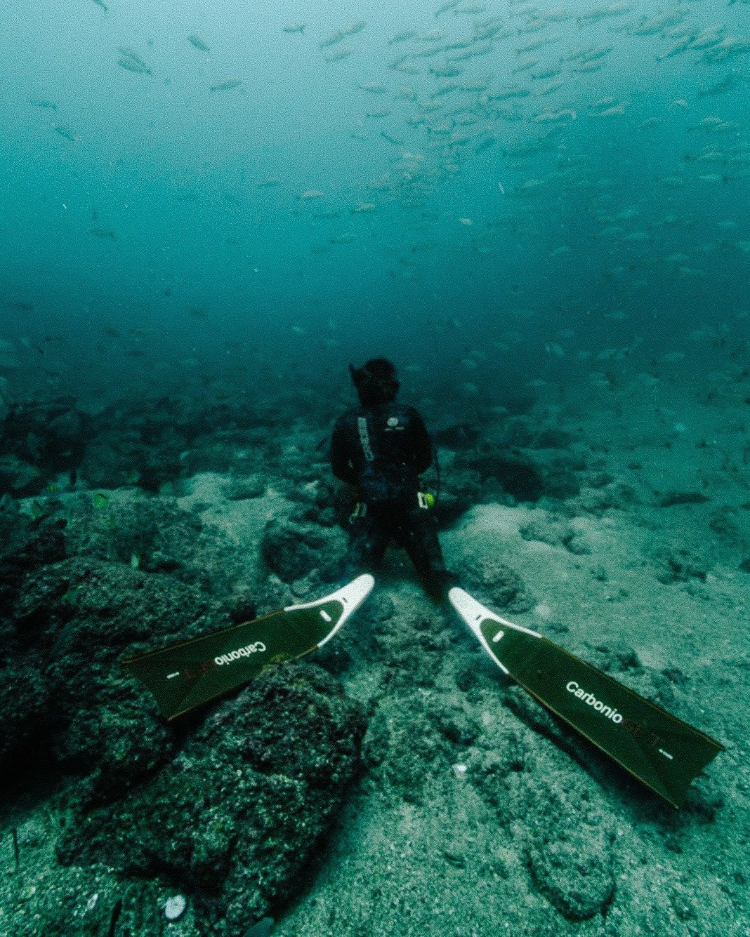 Reef spearfishing is about patience more than power.⁠
⁠
It&rsquo;s learning how fish move, how structure protects them, and how your own breath and positioning shape every moment underwater.⁠
⁠
Our private reef charters are built around clean techniq